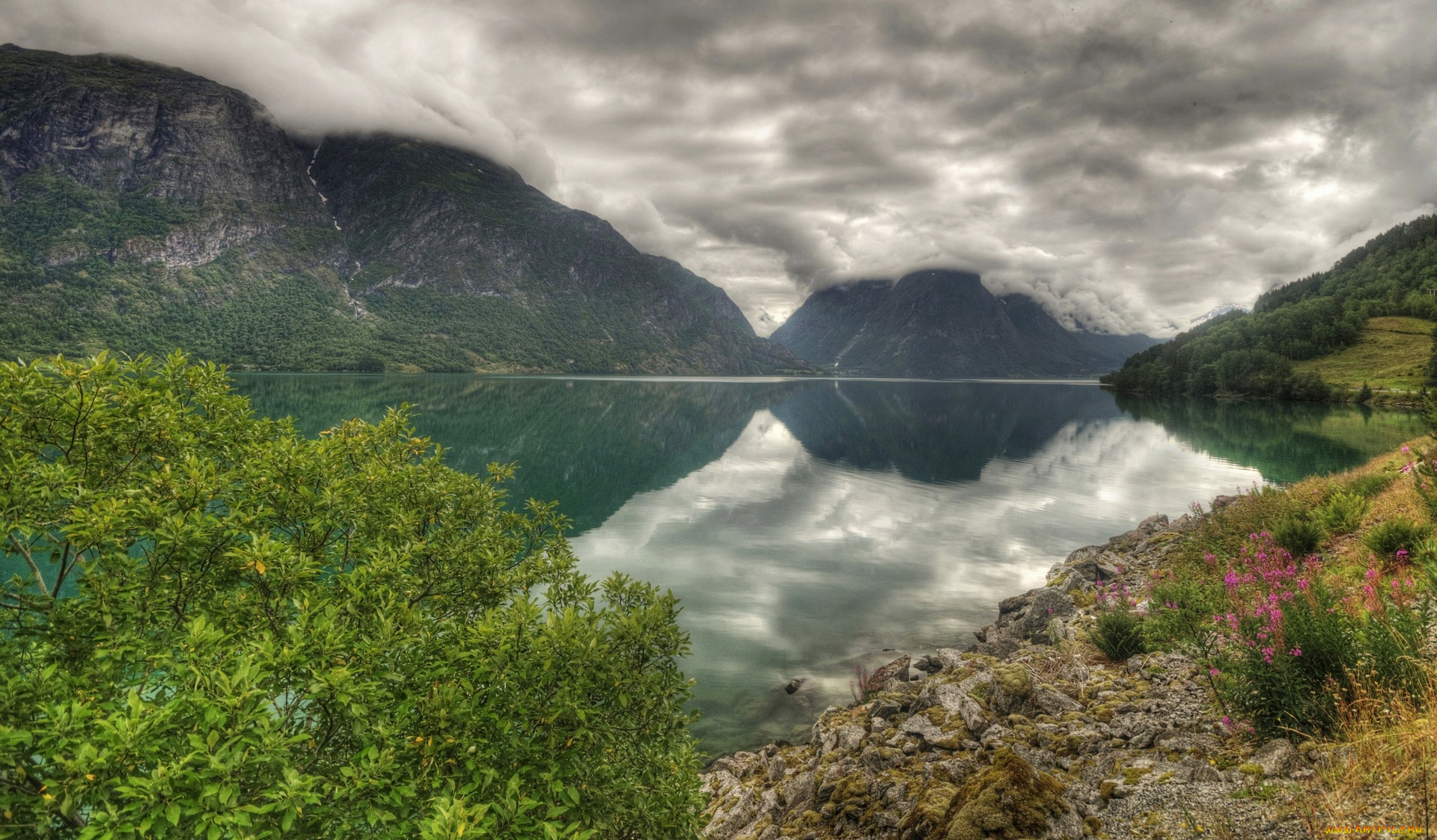 норвегия, природа, реки, озера, цветы, деревья, камни, облака, вершины, озеро
