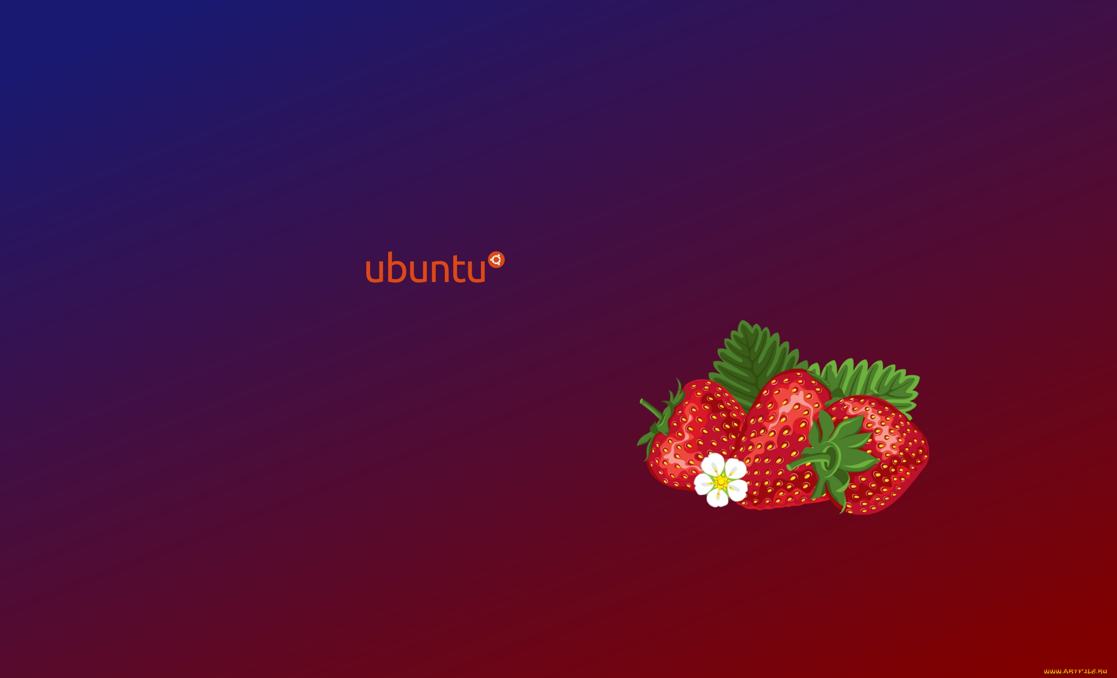 компьютеры, ubuntu, linux, фон, логотип