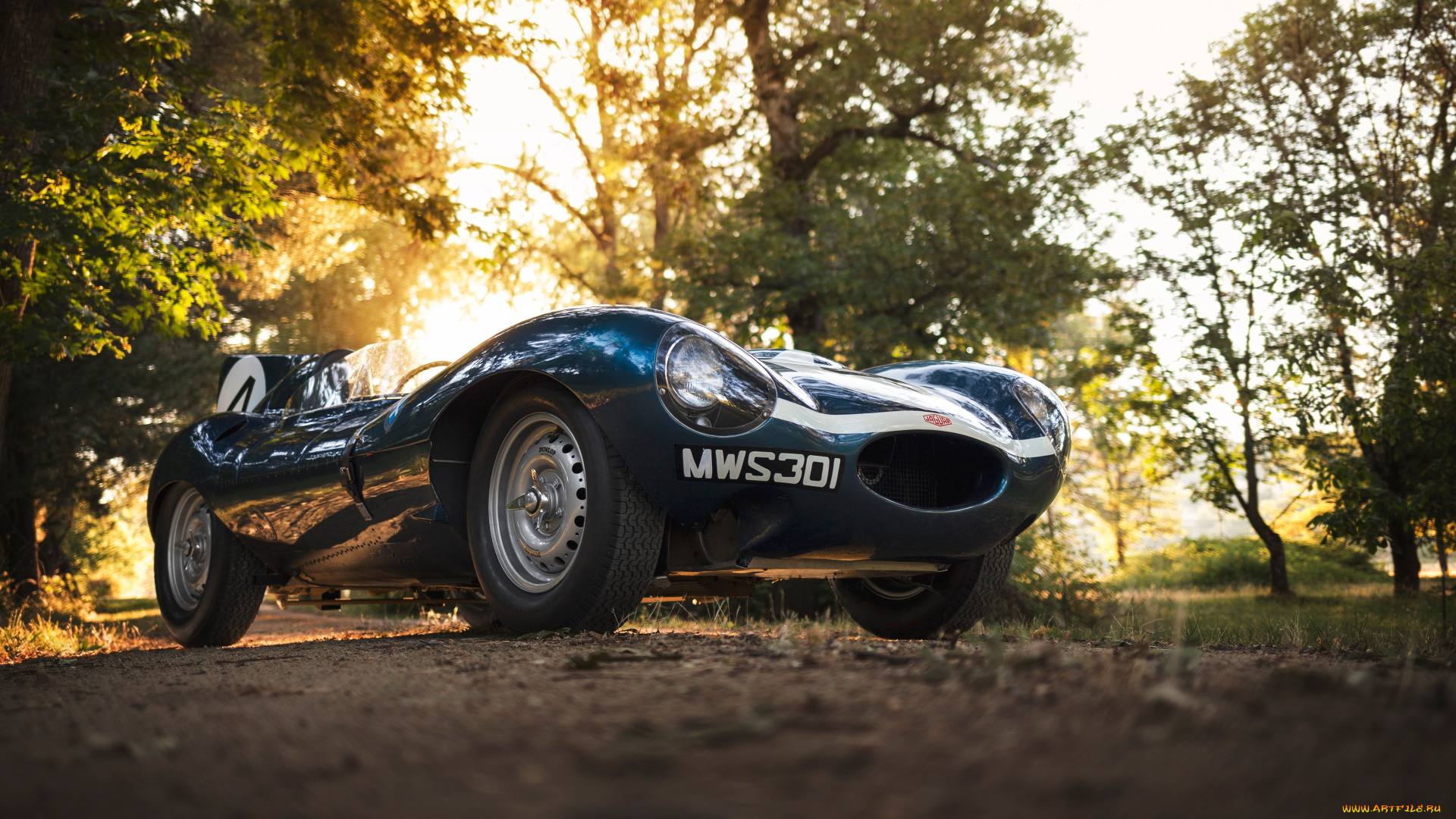 автомобили, jaguar, 1955, d-type