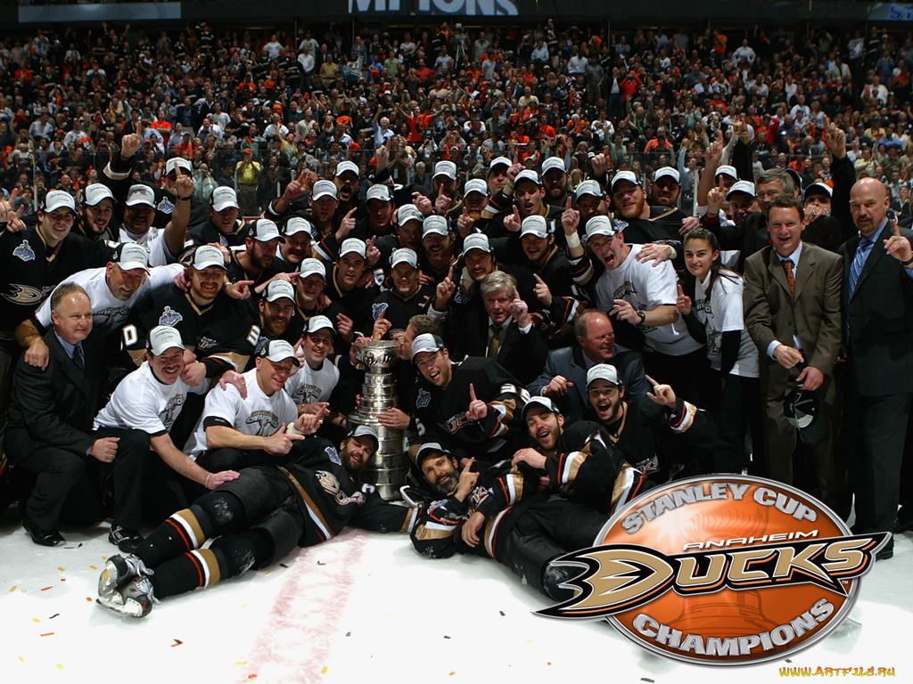 anaheim, спорт, nhl