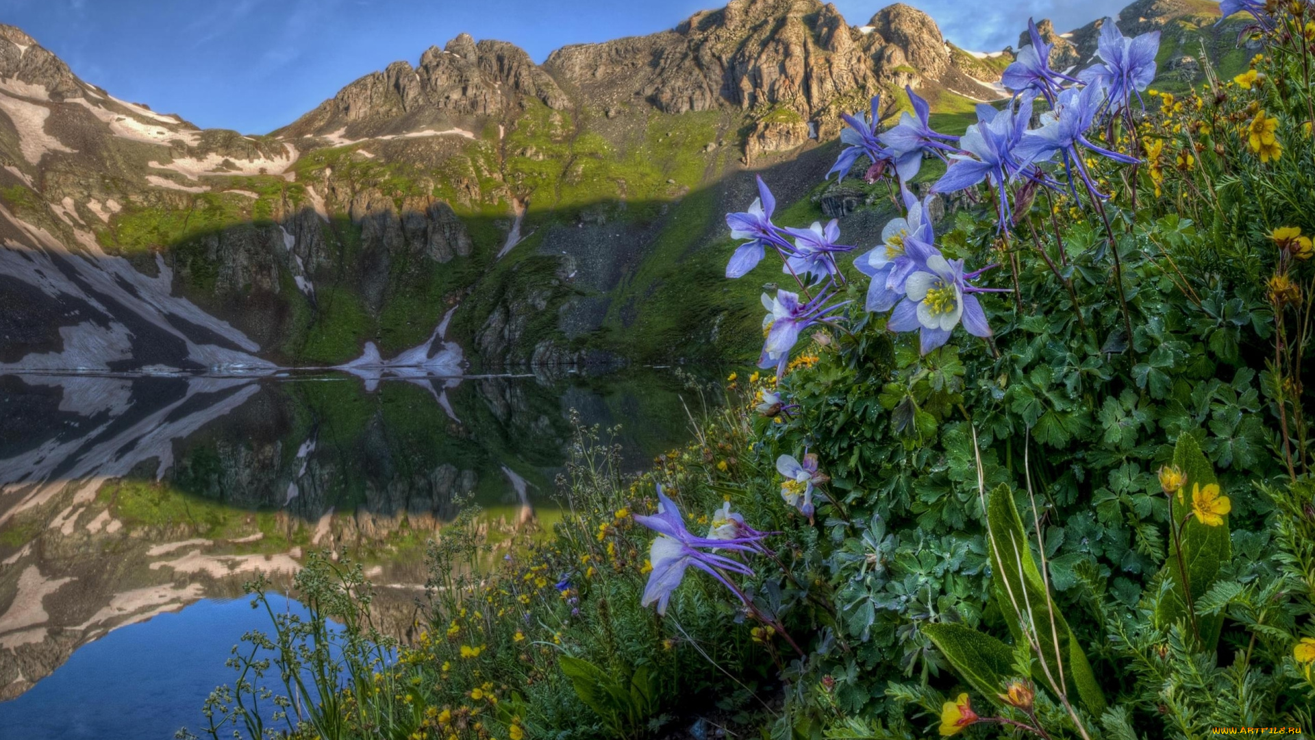 природа, горы, озеро, пейзаж, цветы
