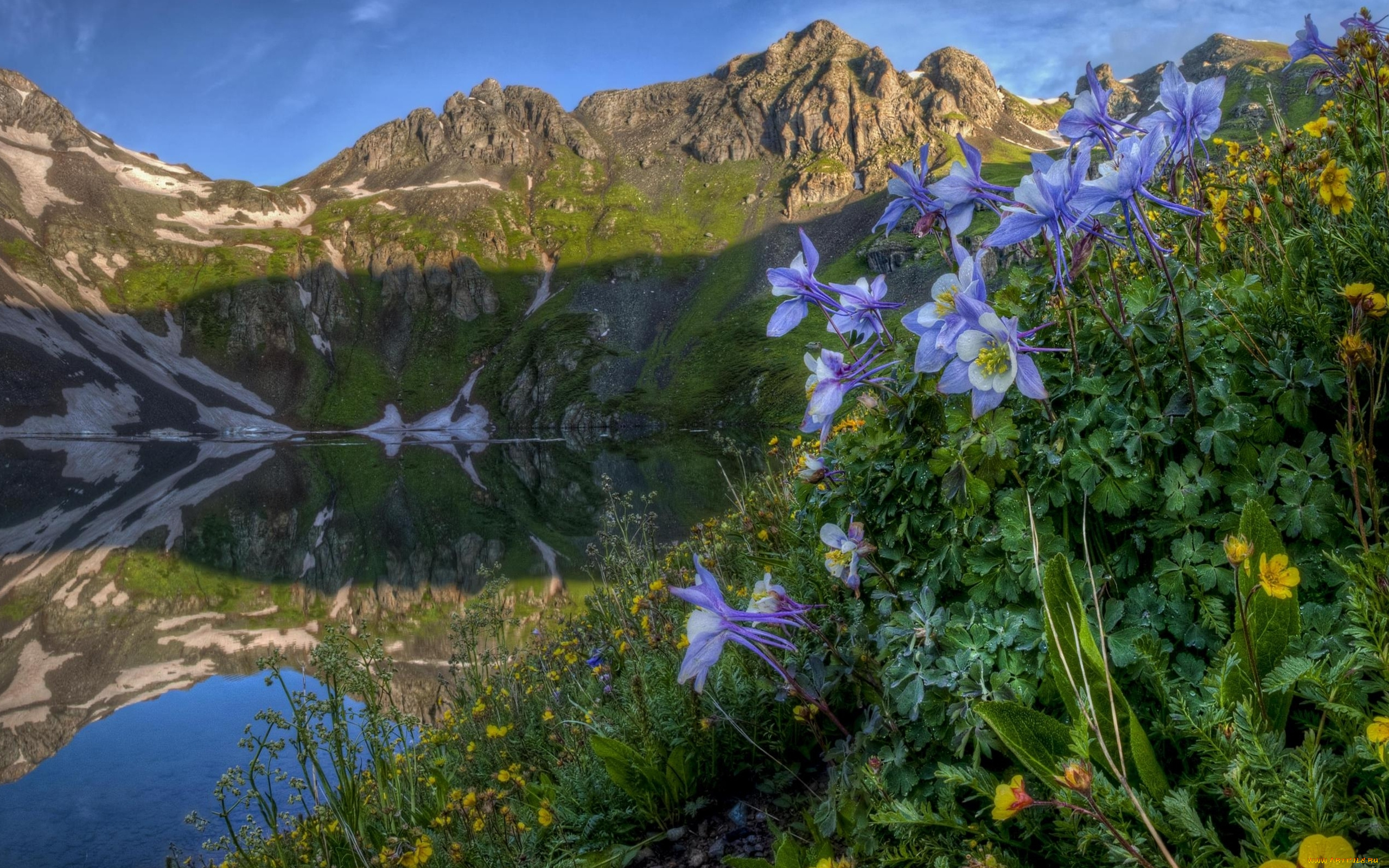 природа, горы, озеро, пейзаж, цветы