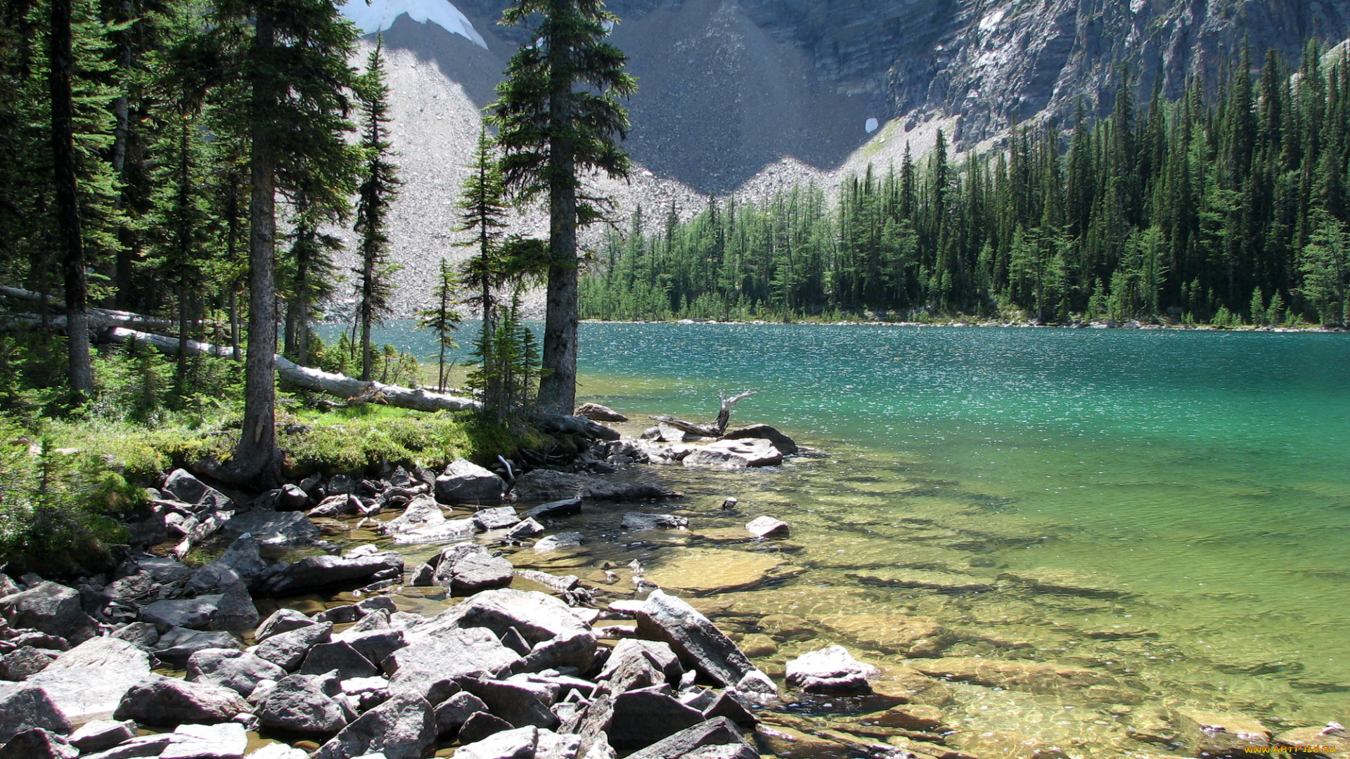 arnica, lake, jasper, national, park, canada, природа, реки, озера, парк