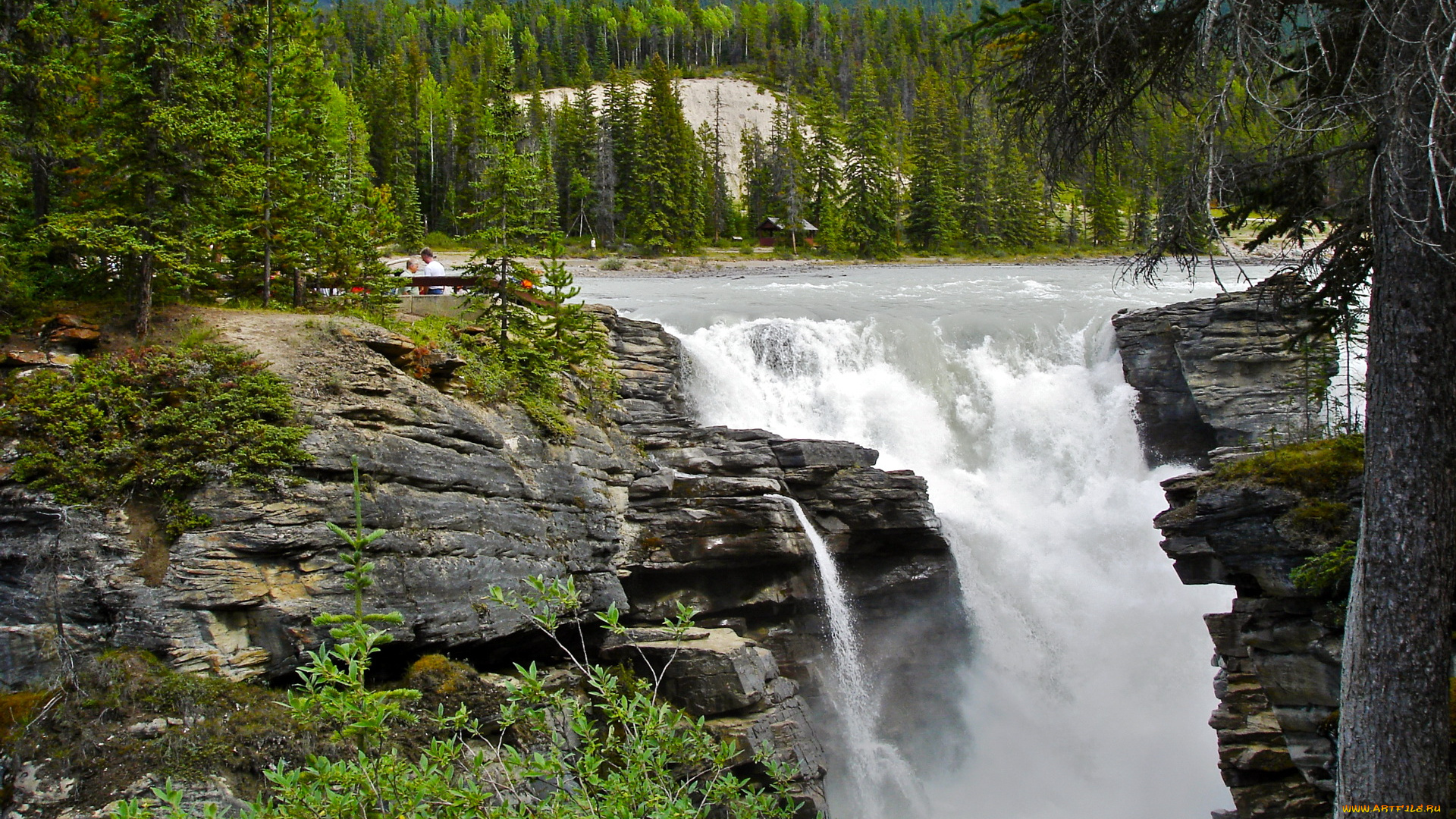 athabasca, falls, jasper, national, park, canada, природа, водопады, лес, водопад