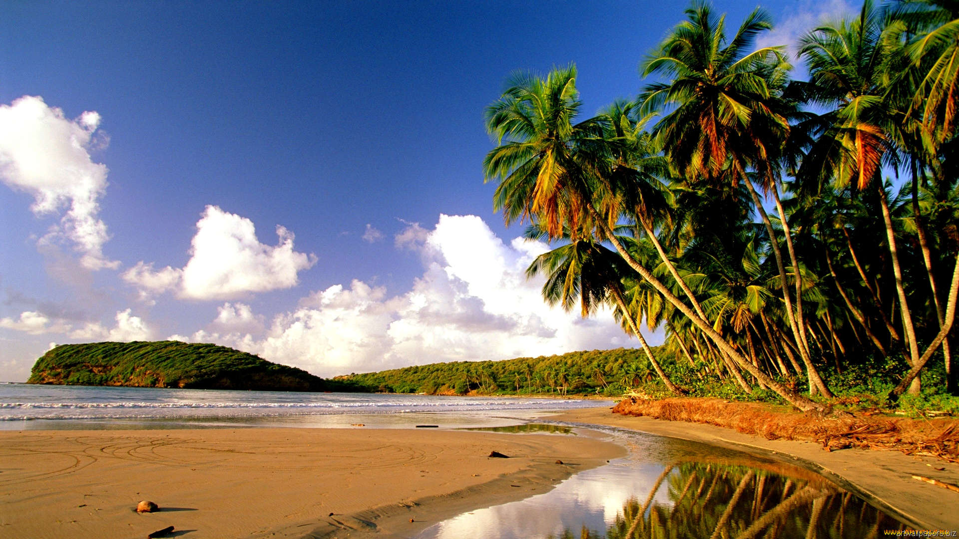 beach, природа, тропики, океан, остров, пальмы, пляж