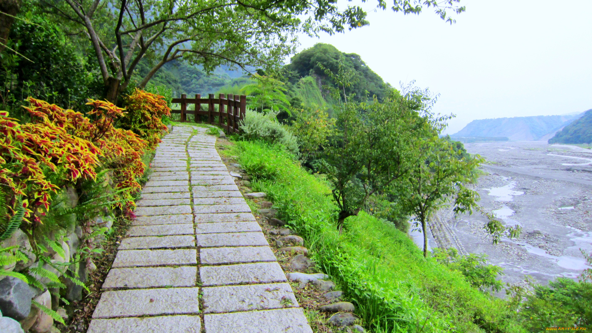 beautiful, footpath, природа, дороги, дорожка, склон, деревья, горы