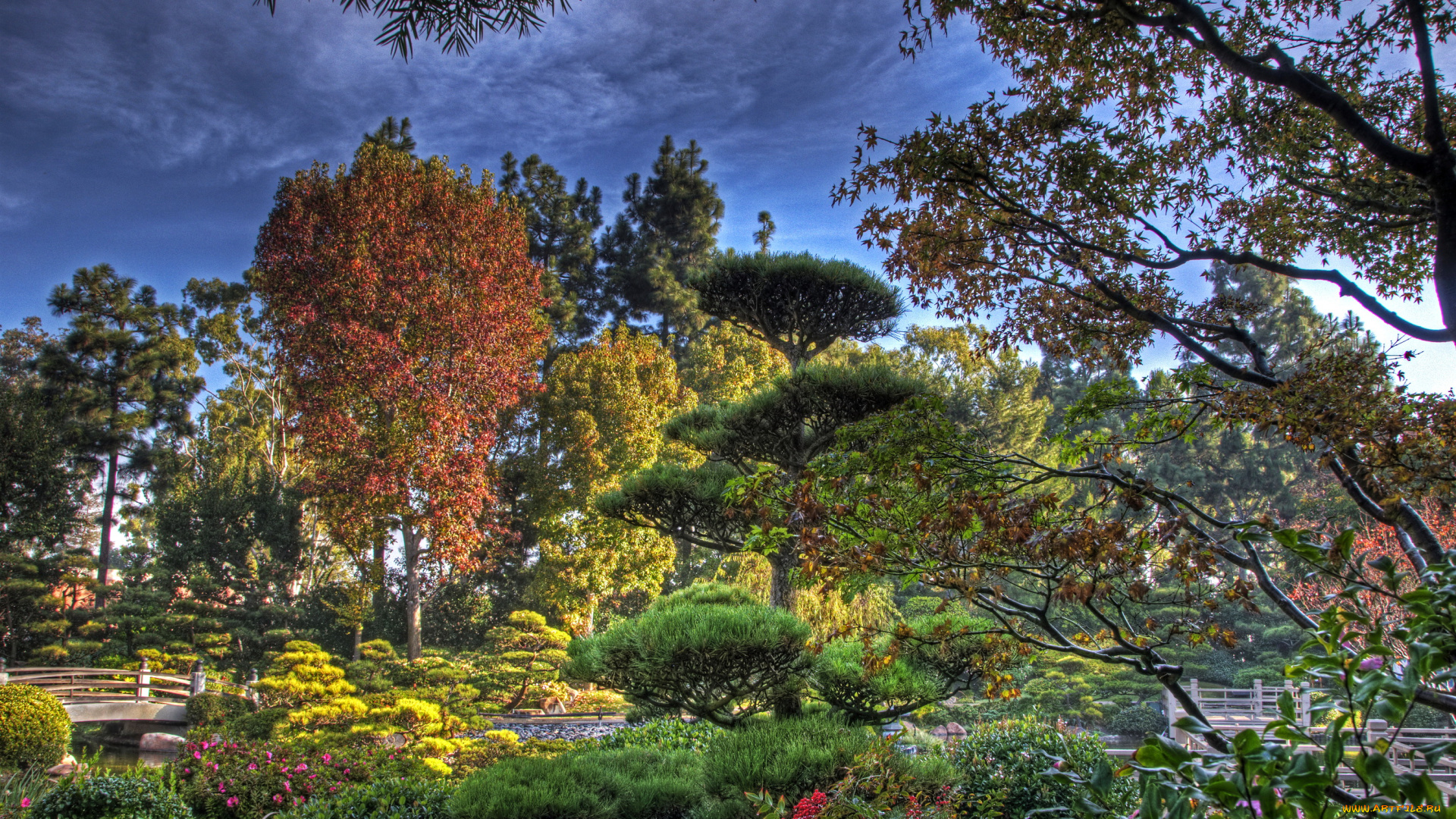 earl, burns, miller, japanese, garden, california, usa, природа, парк, водоем, мостики, сад