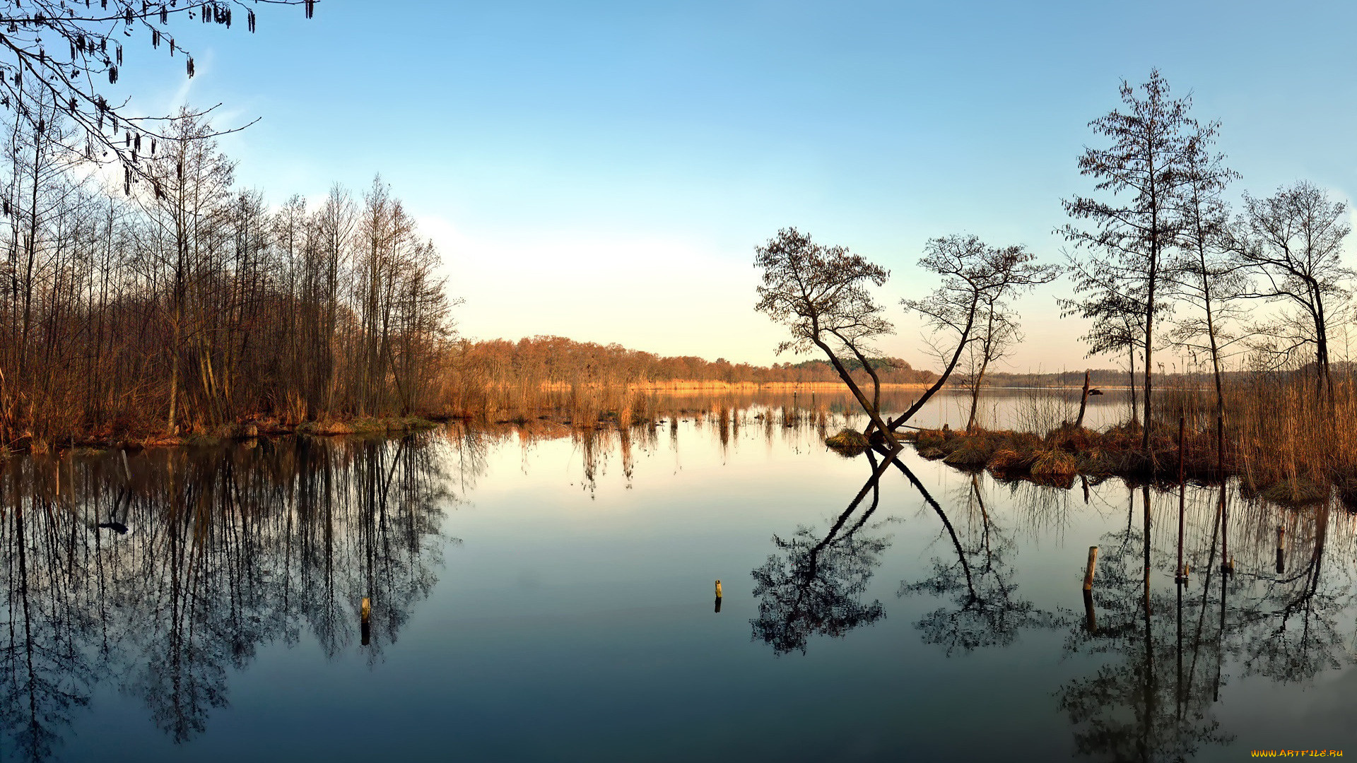 perfectly, still, lake, природа, реки, озера, отражение, озеро, деревья, тишина
