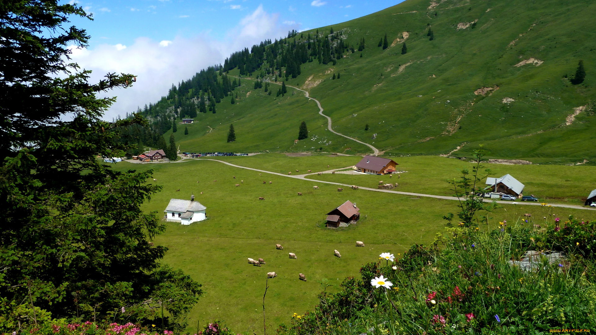 швейцария, заксельн, природа, горы, городок