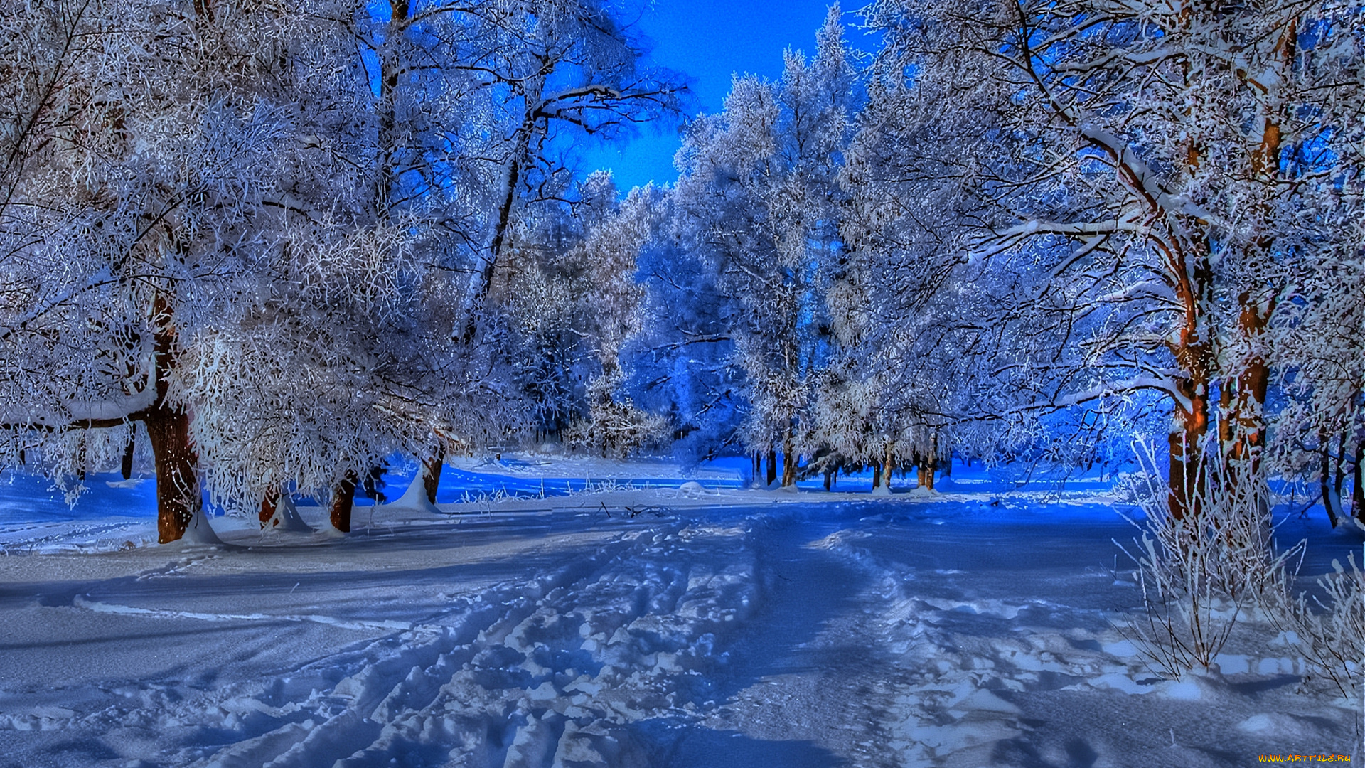 snowy, path, in, winter, природа, зима, тропинка, парк, деревья