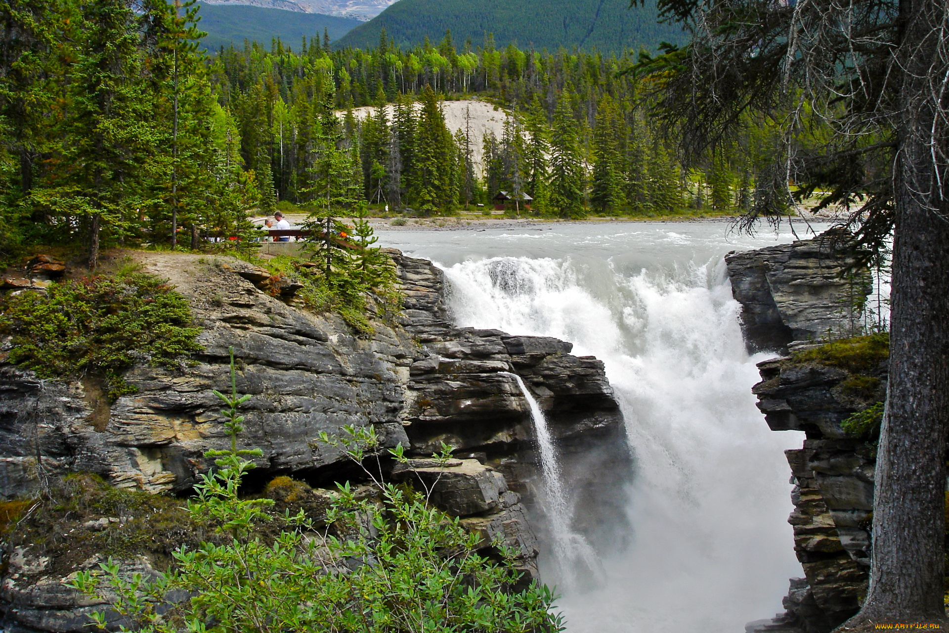athabasca, falls, jasper, national, park, canada, природа, водопады, лес, водопад