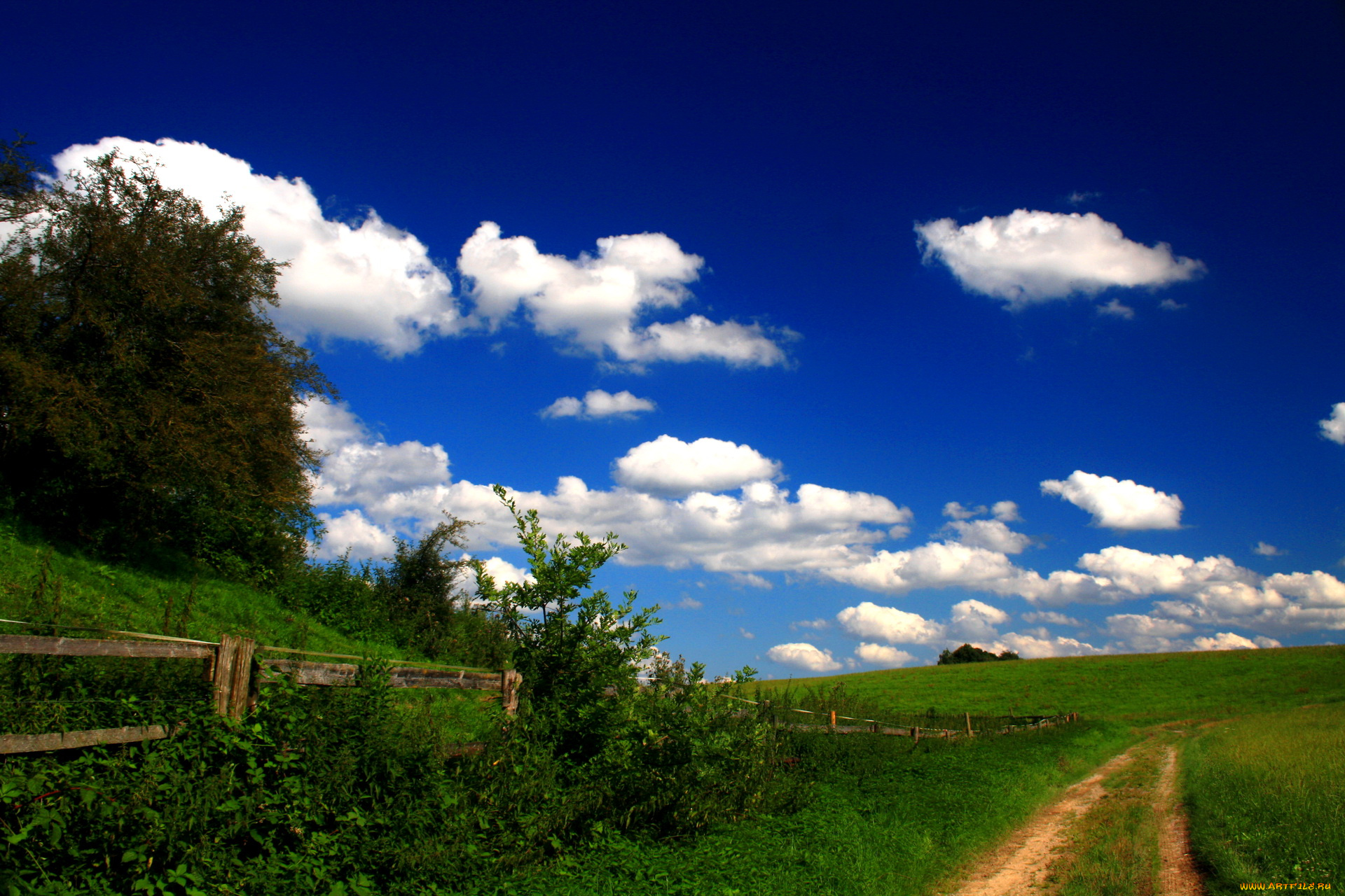 германия, блаубойрен, природа, дороги, луга