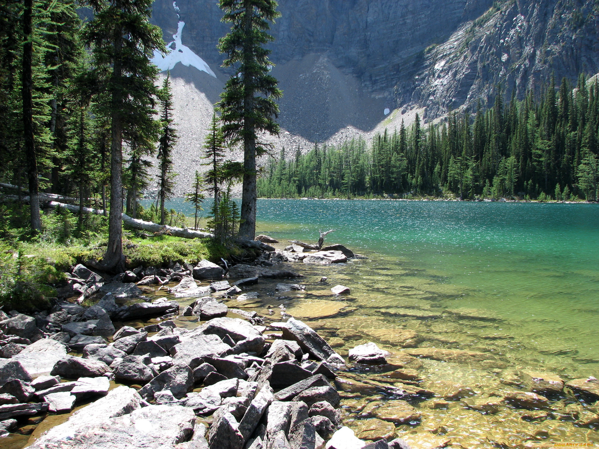 arnica, lake, jasper, national, park, canada, природа, реки, озера, парк