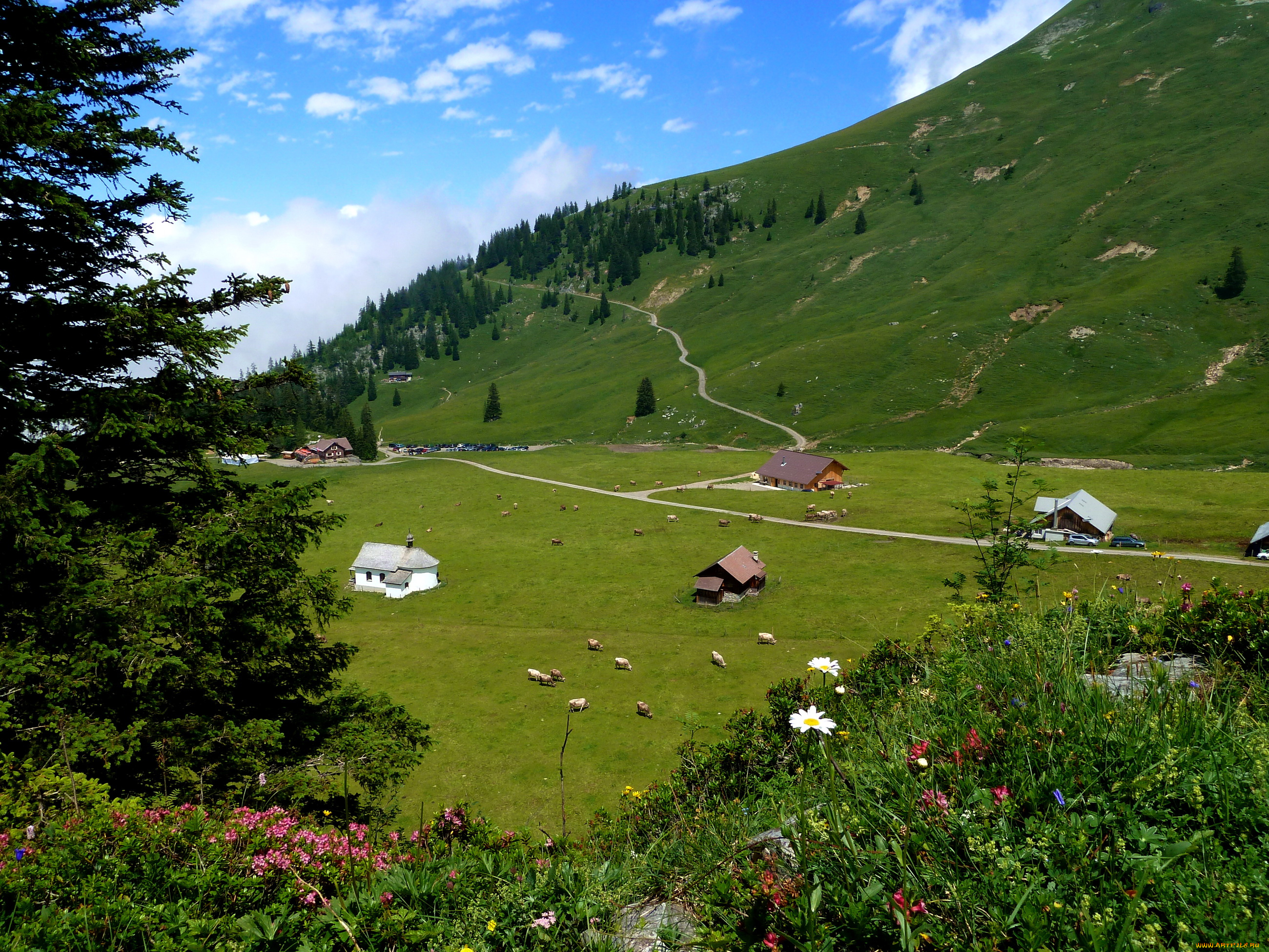 швейцария, заксельн, природа, горы, городок