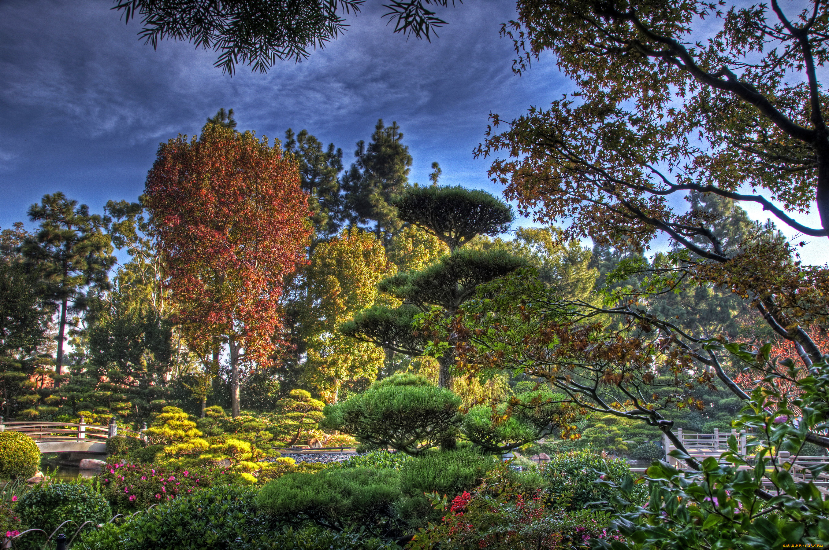 earl, burns, miller, japanese, garden, california, usa, природа, парк, водоем, мостики, сад