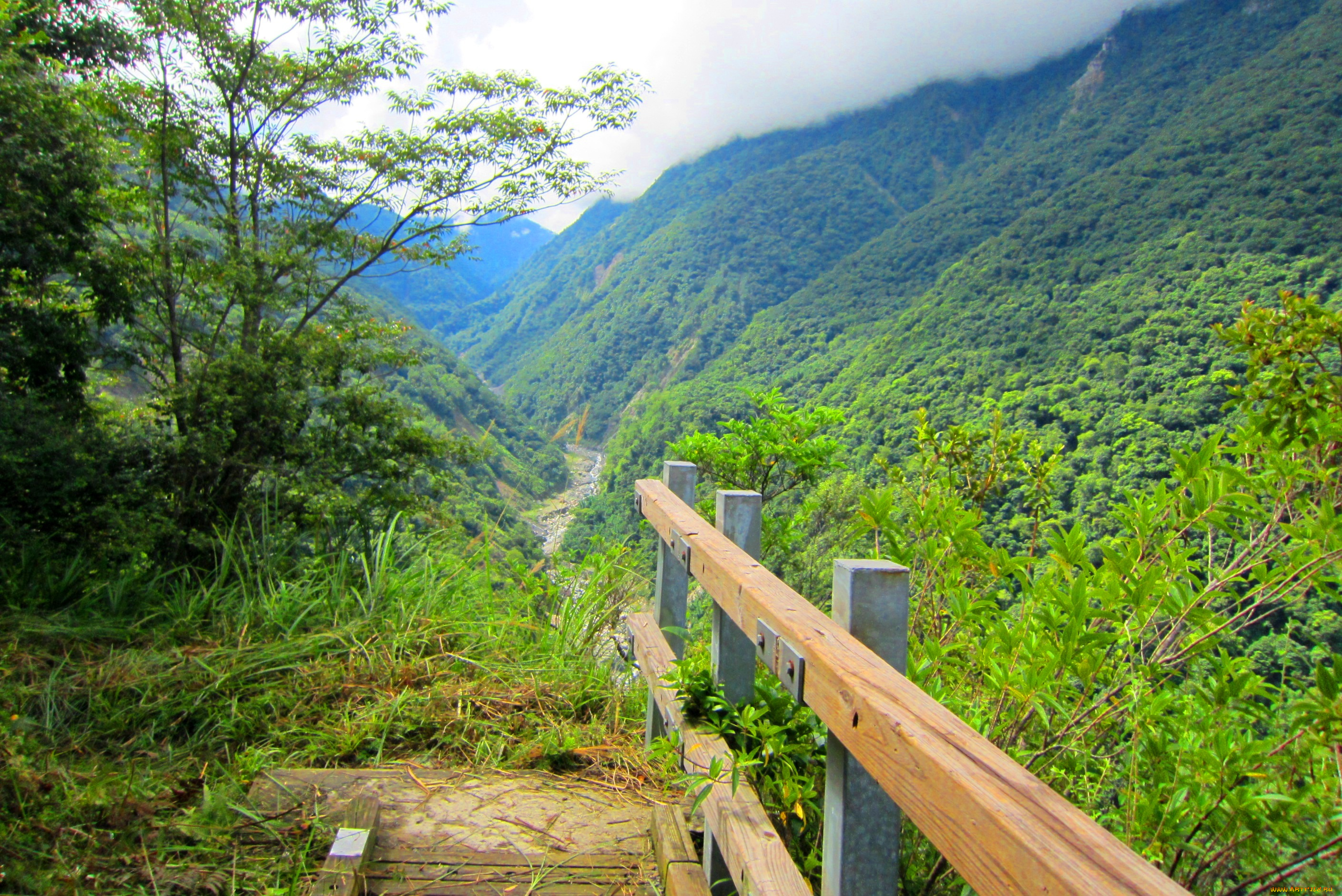 small, wooden, bridge, in, the, mountain, природа, горы, травы, склон, мостик