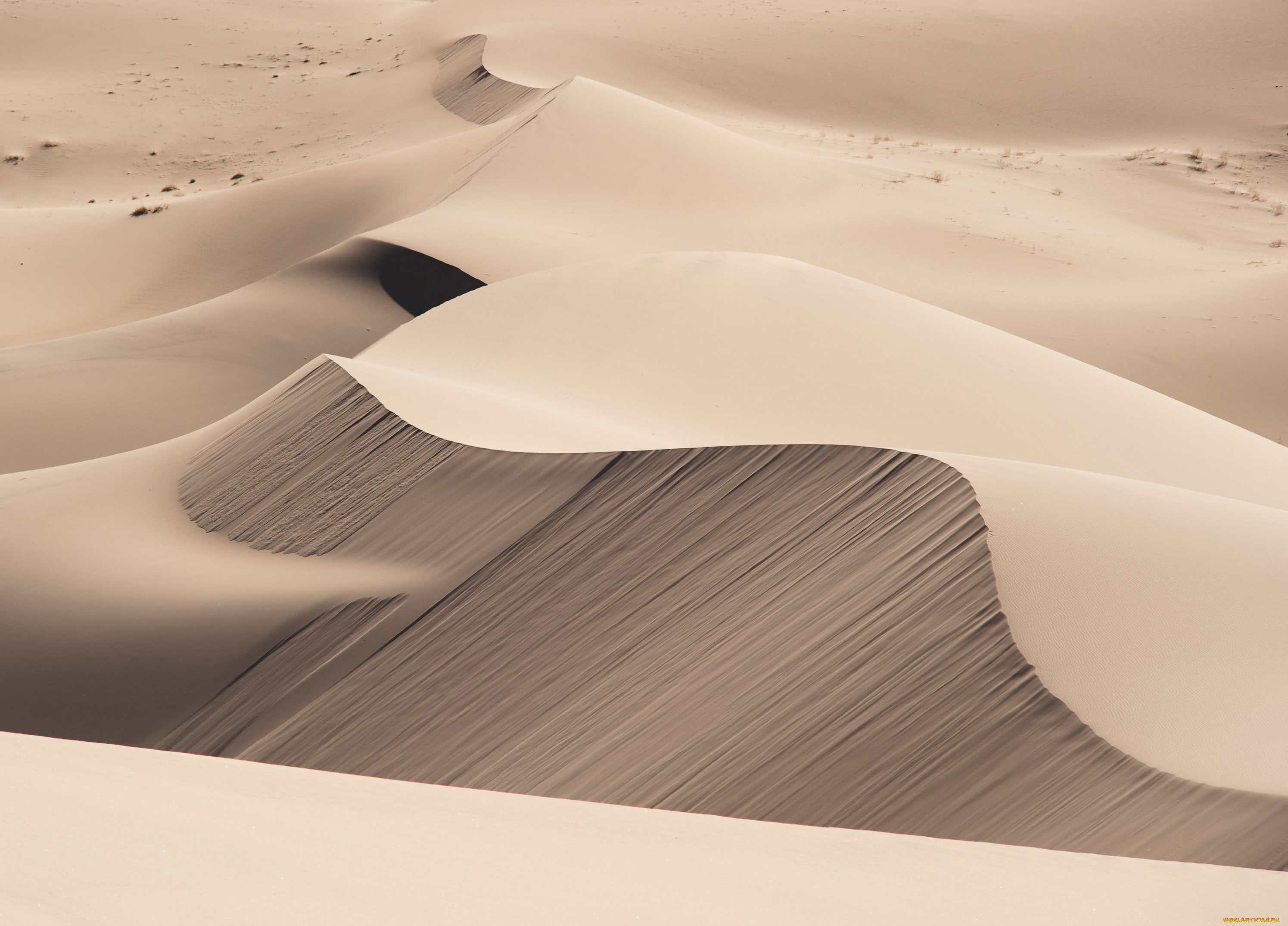 природа, пустыни, песок, дюны, пустыня