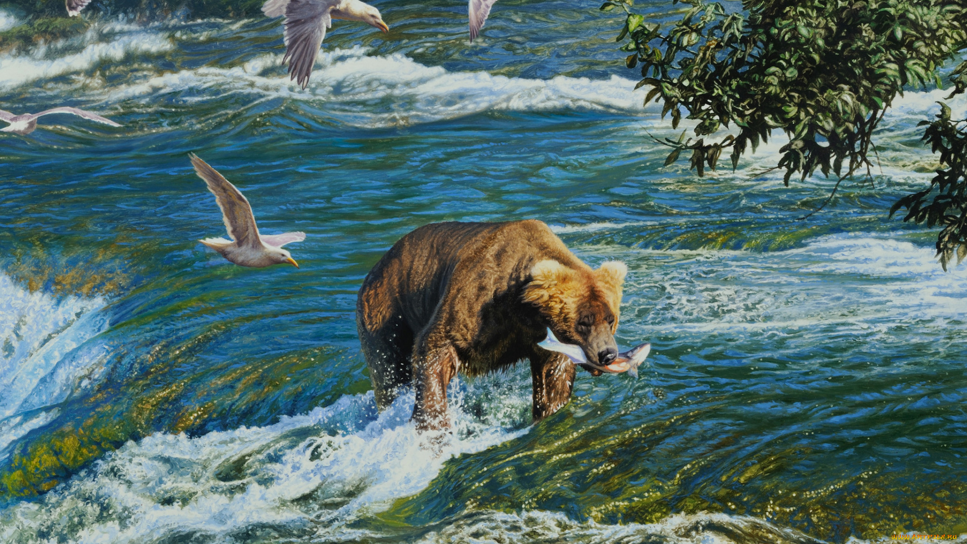 рисованное, животные, , медведи, охота, медведь, птицы, река