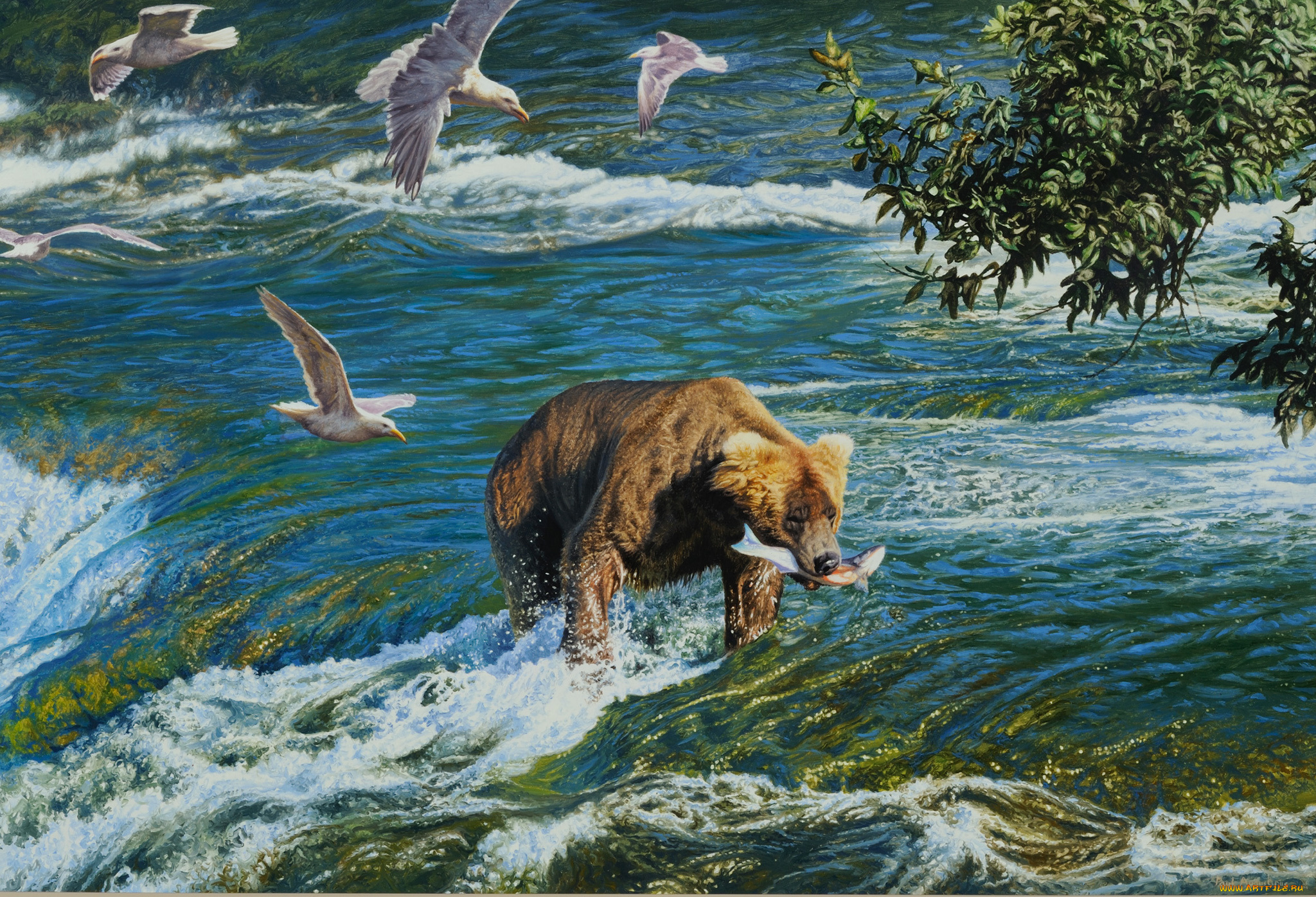 рисованное, животные, , медведи, охота, медведь, птицы, река