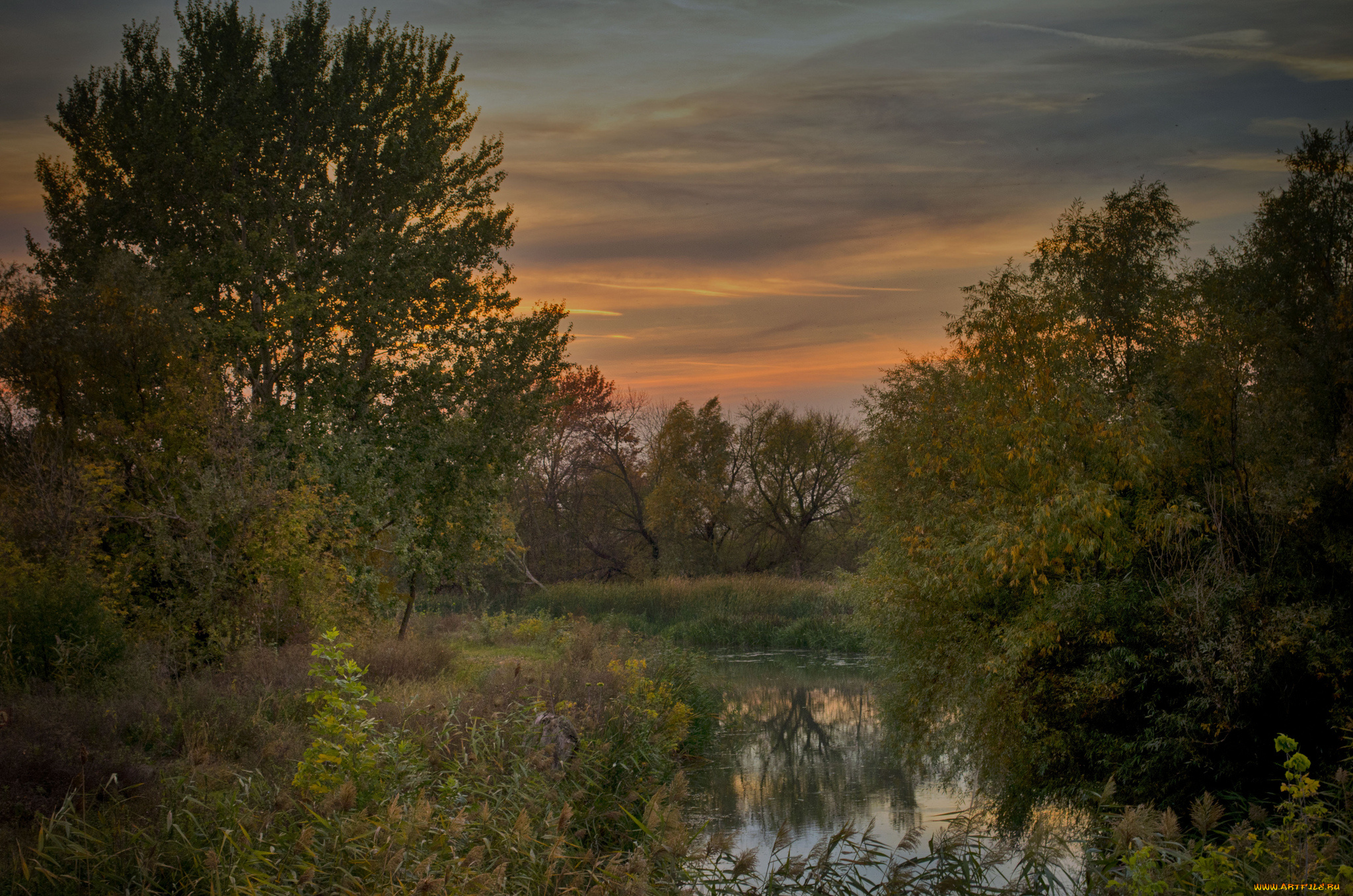 природа, реки, озера, лес, река