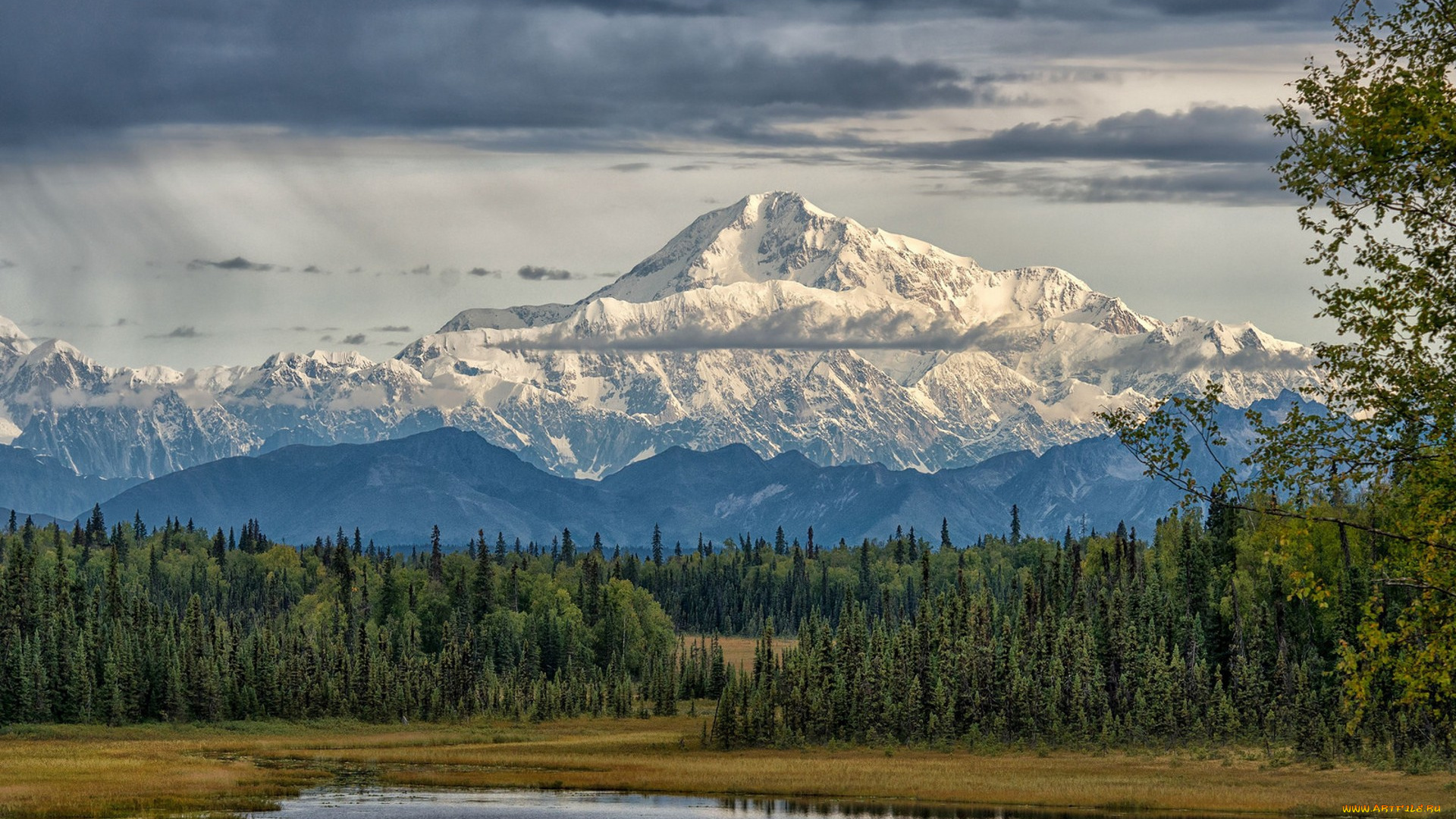 The highest mountain in north america are. Национальный парк Денали Аляска. Денали гора в Северной Америке. Северная Америка гора Мак-Кинли. Кордильеры гора Денали.