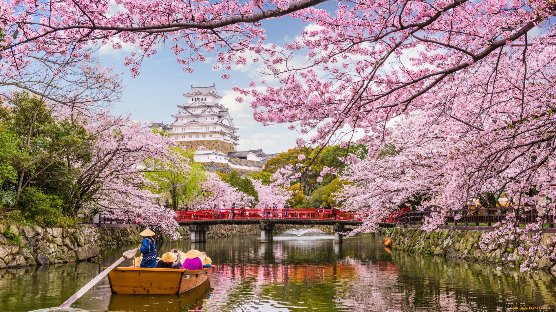 города, токио, , япония, весна, вода, деревья, сакуры, туризм, водный, путь