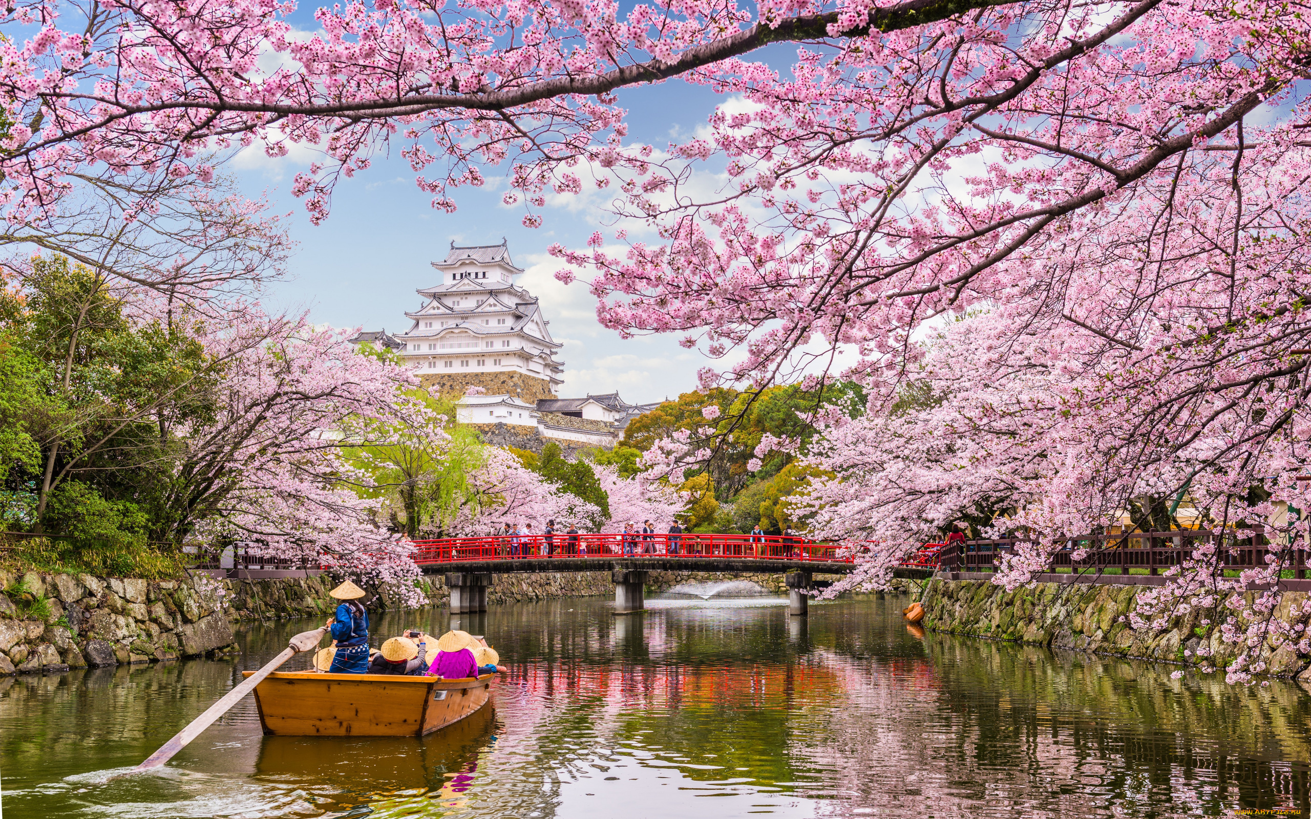 города, токио, , япония, весна, вода, деревья, сакуры, туризм, водный, путь