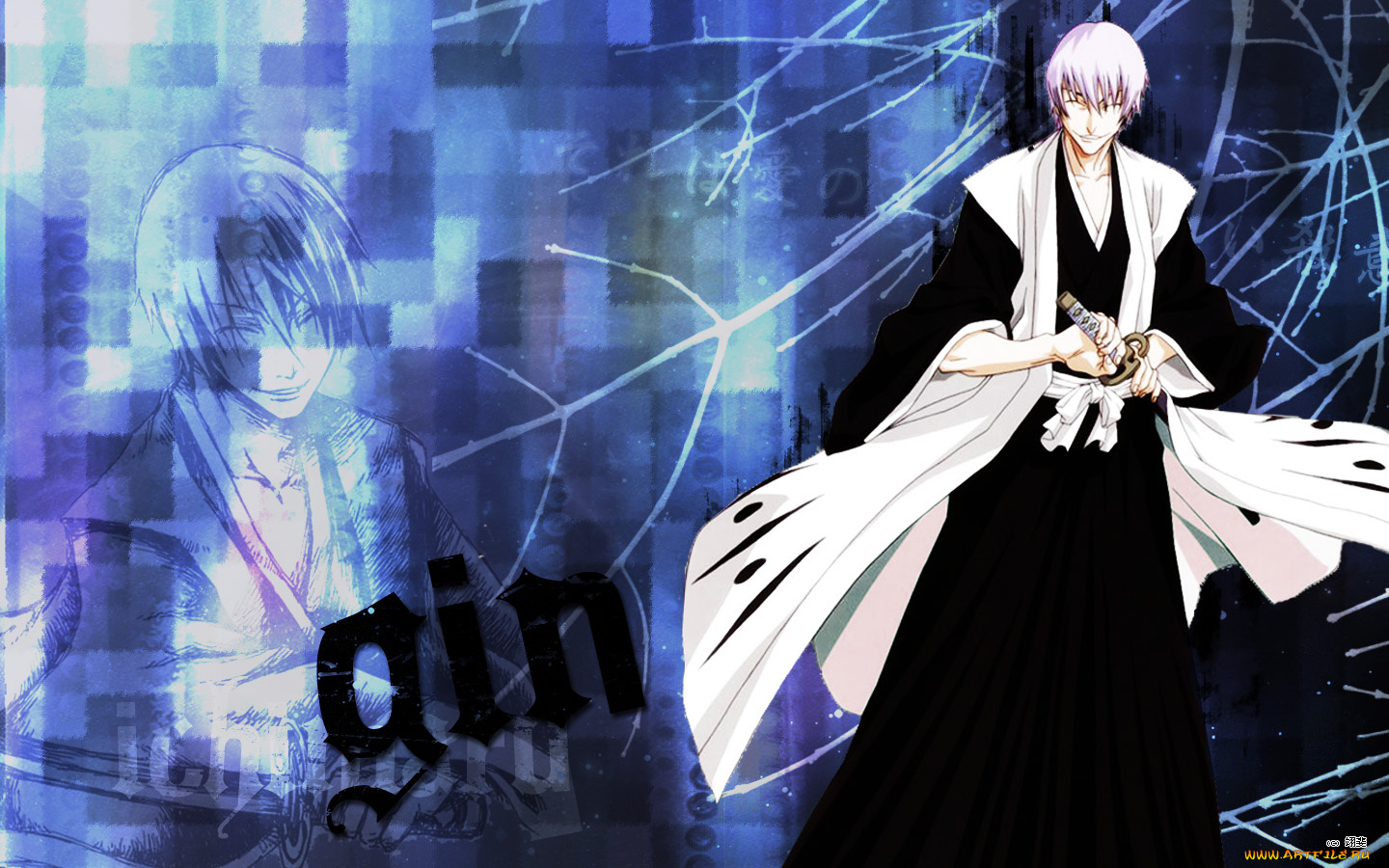 gin, аниме, bleach