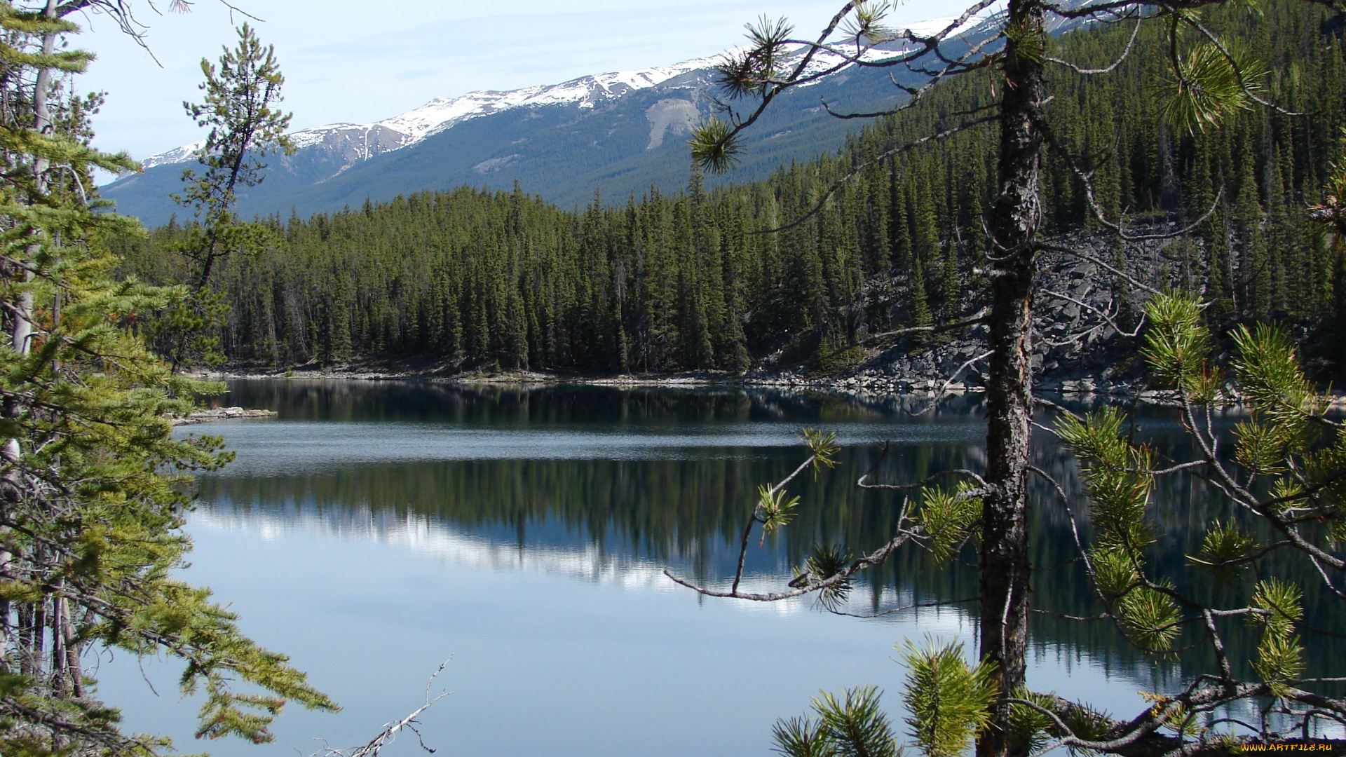 horseshoe, lake, jasper, national, park, природа, реки, озера, горы, озеро