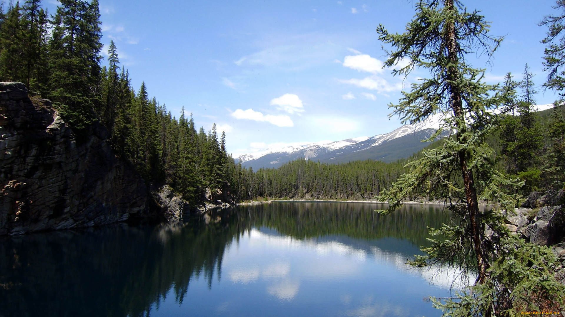 jasper, national, park, природа, реки, озера, озеро, ель