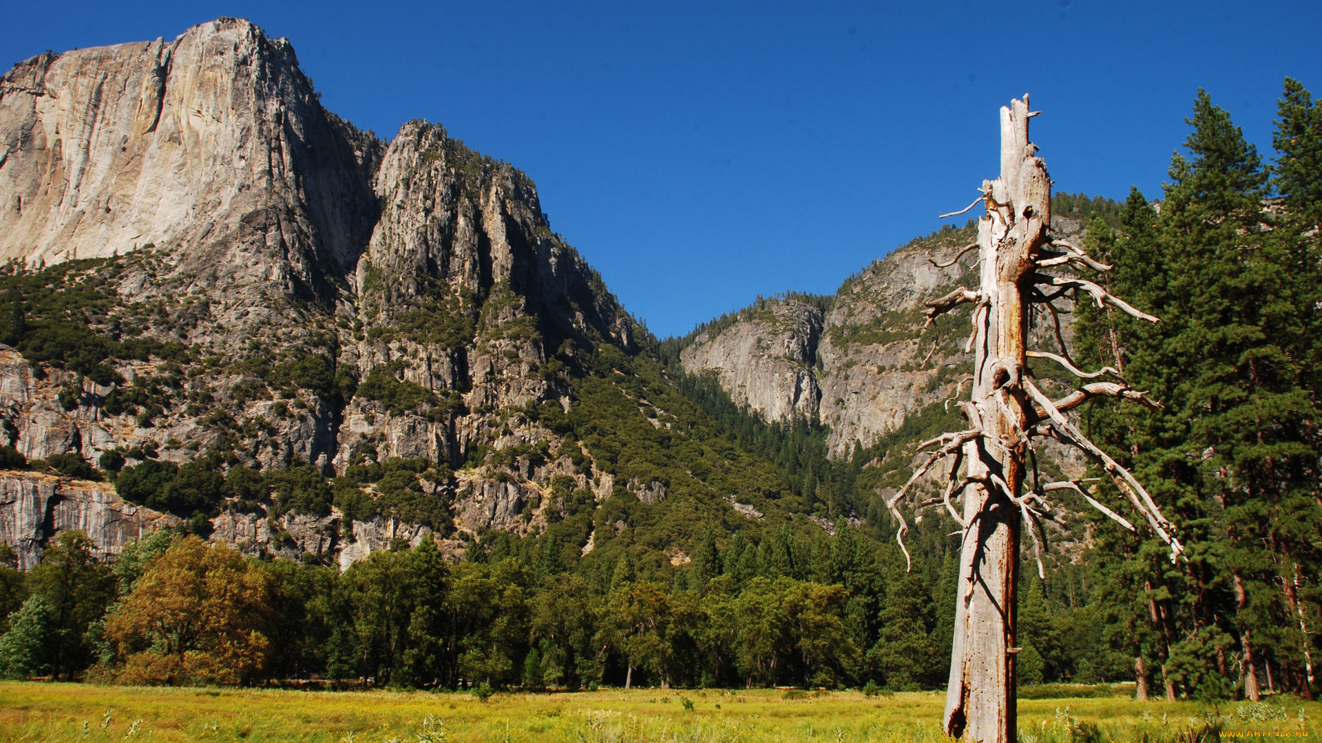 yosemite, national, park, природа, горы