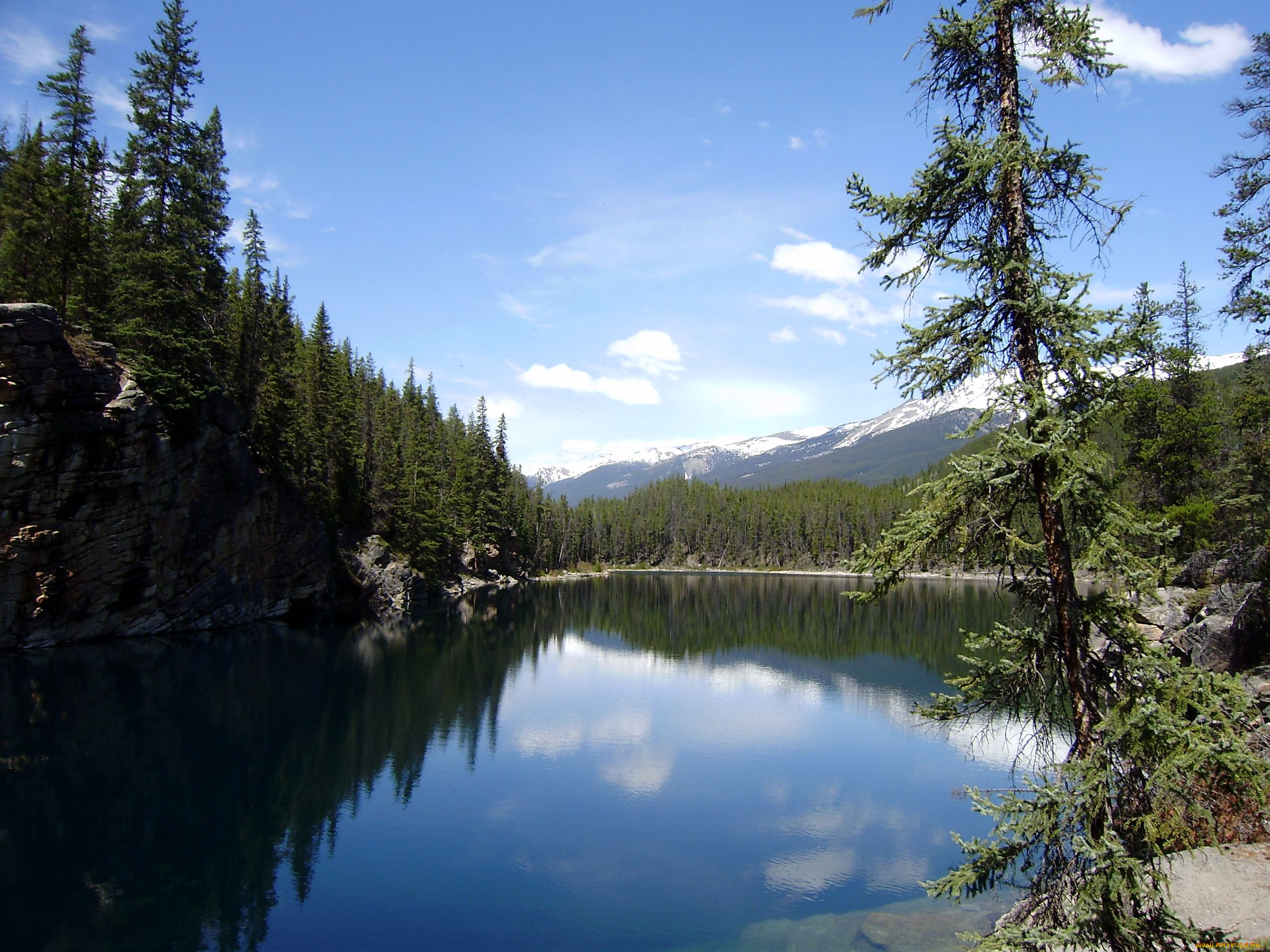 jasper, national, park, природа, реки, озера, озеро, ель