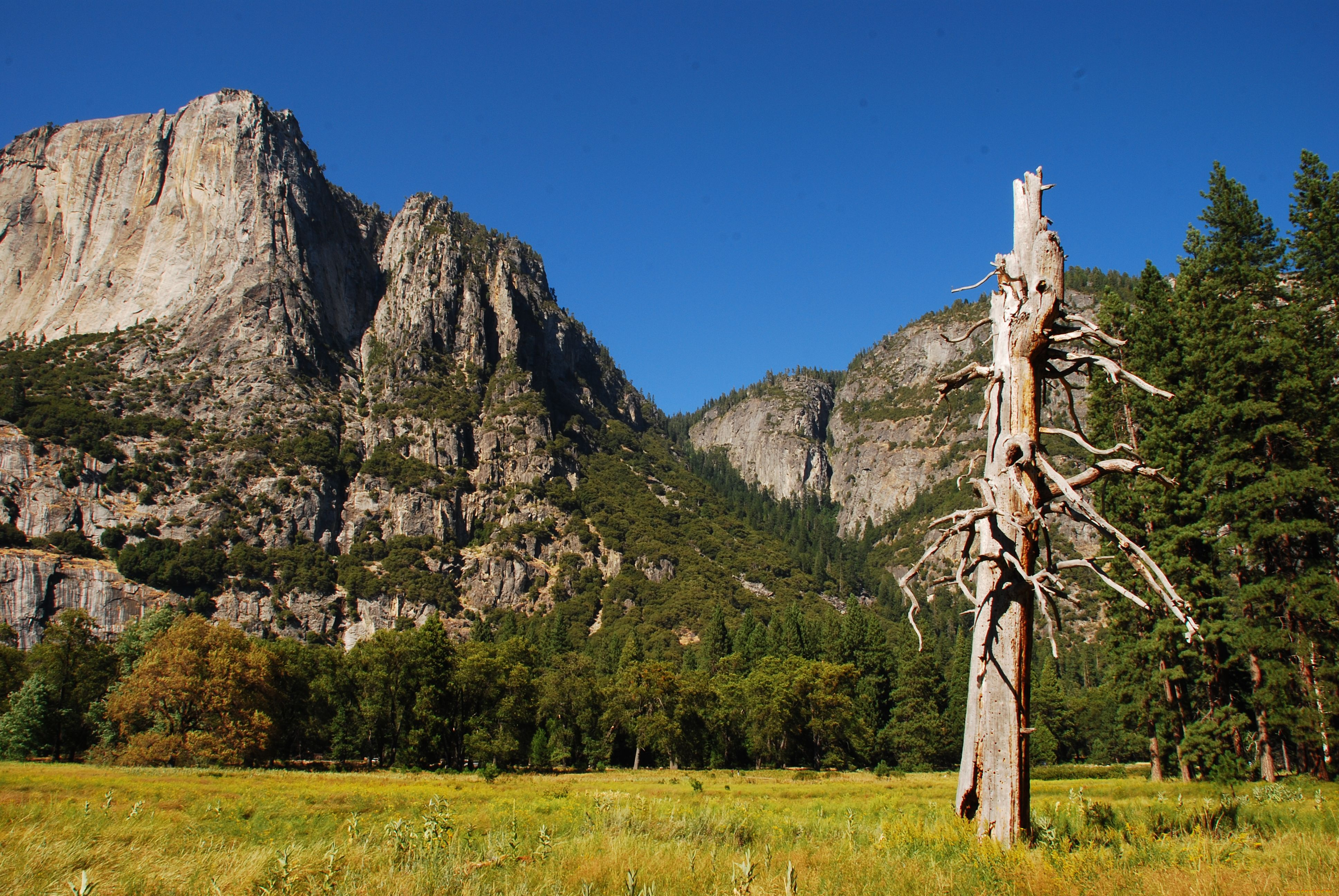 yosemite, national, park, природа, горы