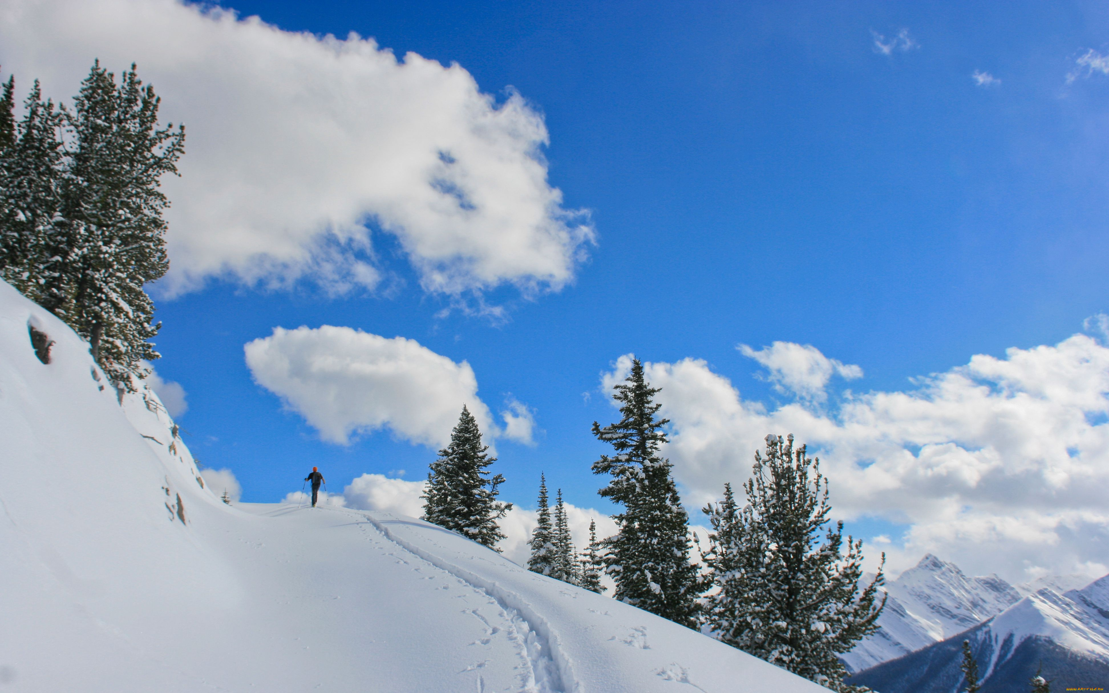 banff, national, park, природа, зима, снег, лыжня, ель