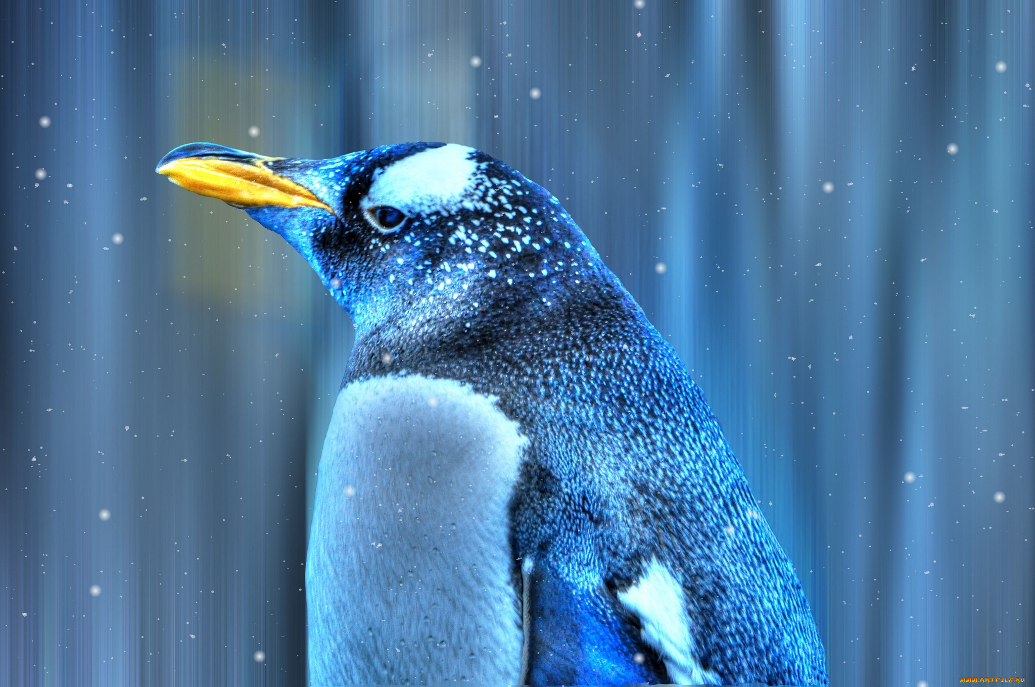 животные, пингвины, снег, птица