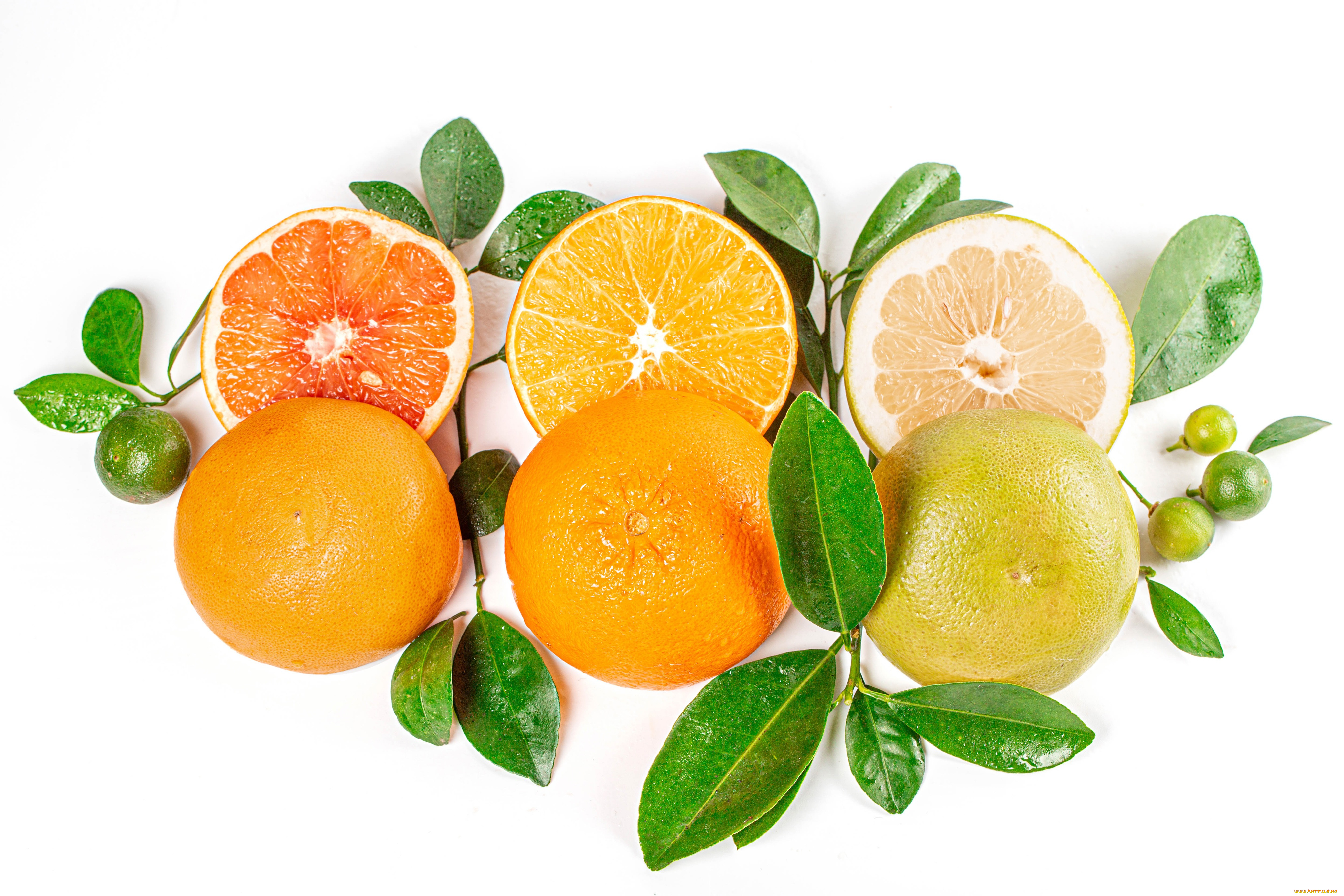 еда, фрукты, , ягоды, ветки, апельсин, грейпфрут, лимоны, цитрусовые