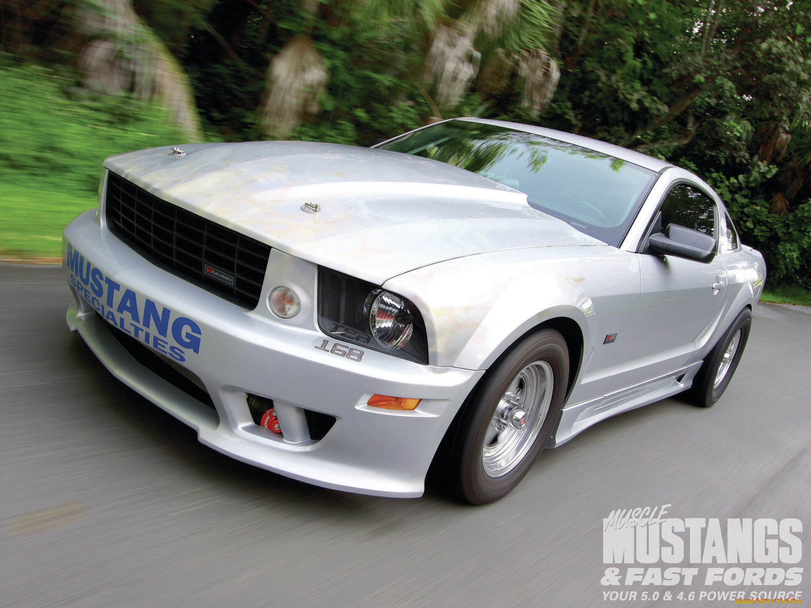 2005, s281, saleen, silver, stallion, автомобили, mustang