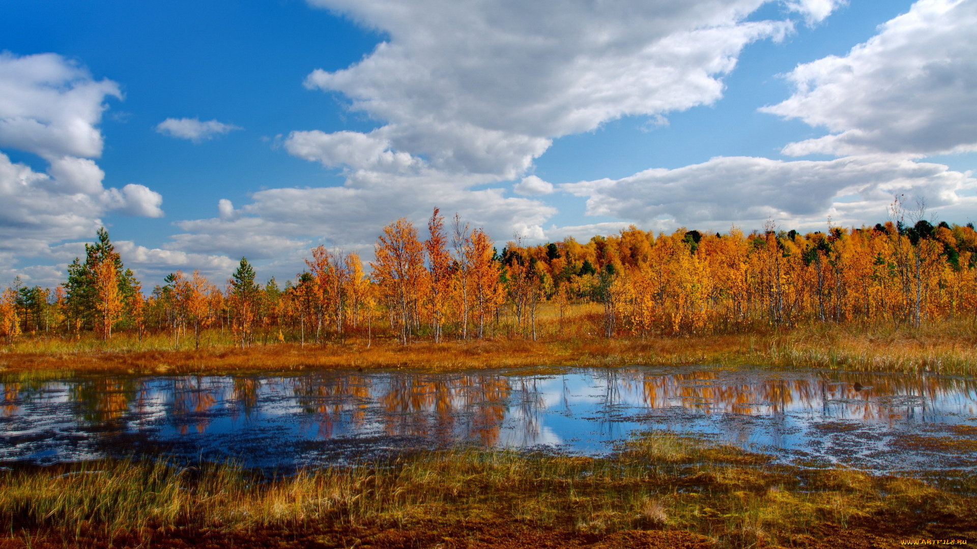 autumn, природа, реки, озера, осень, трава, деревья, озеро