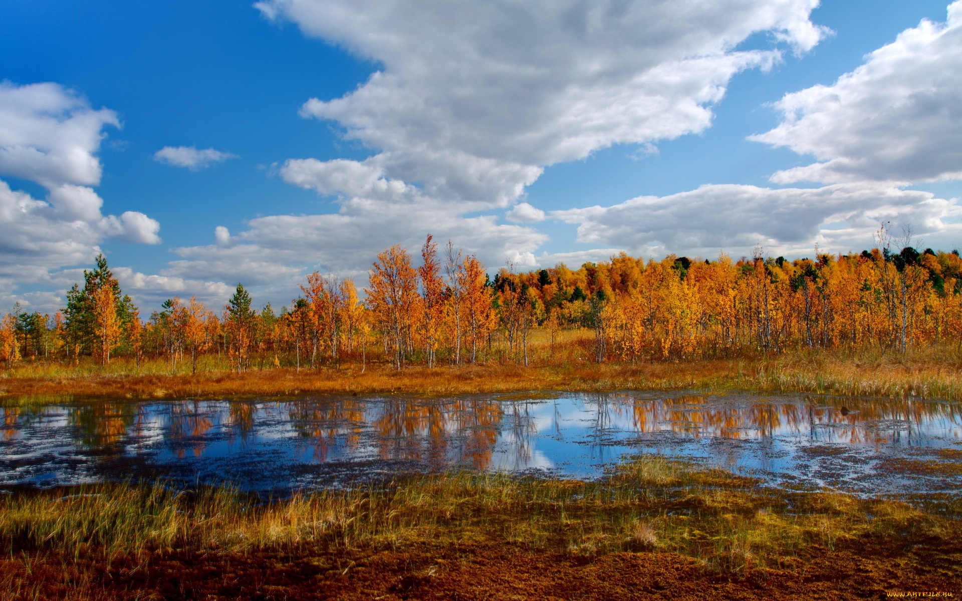 autumn, природа, реки, озера, осень, трава, деревья, озеро