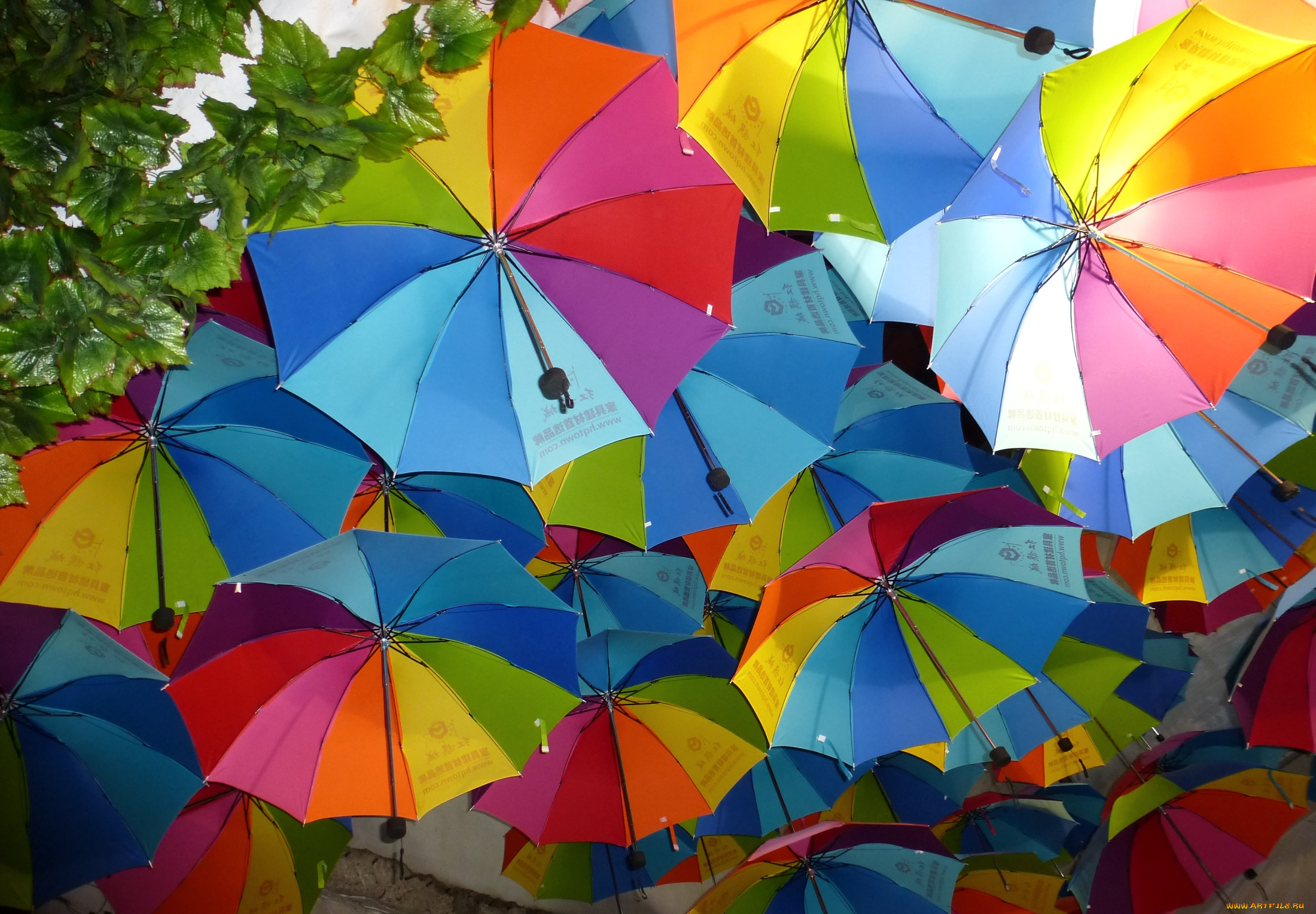 разноцветные зонтики бесплатно