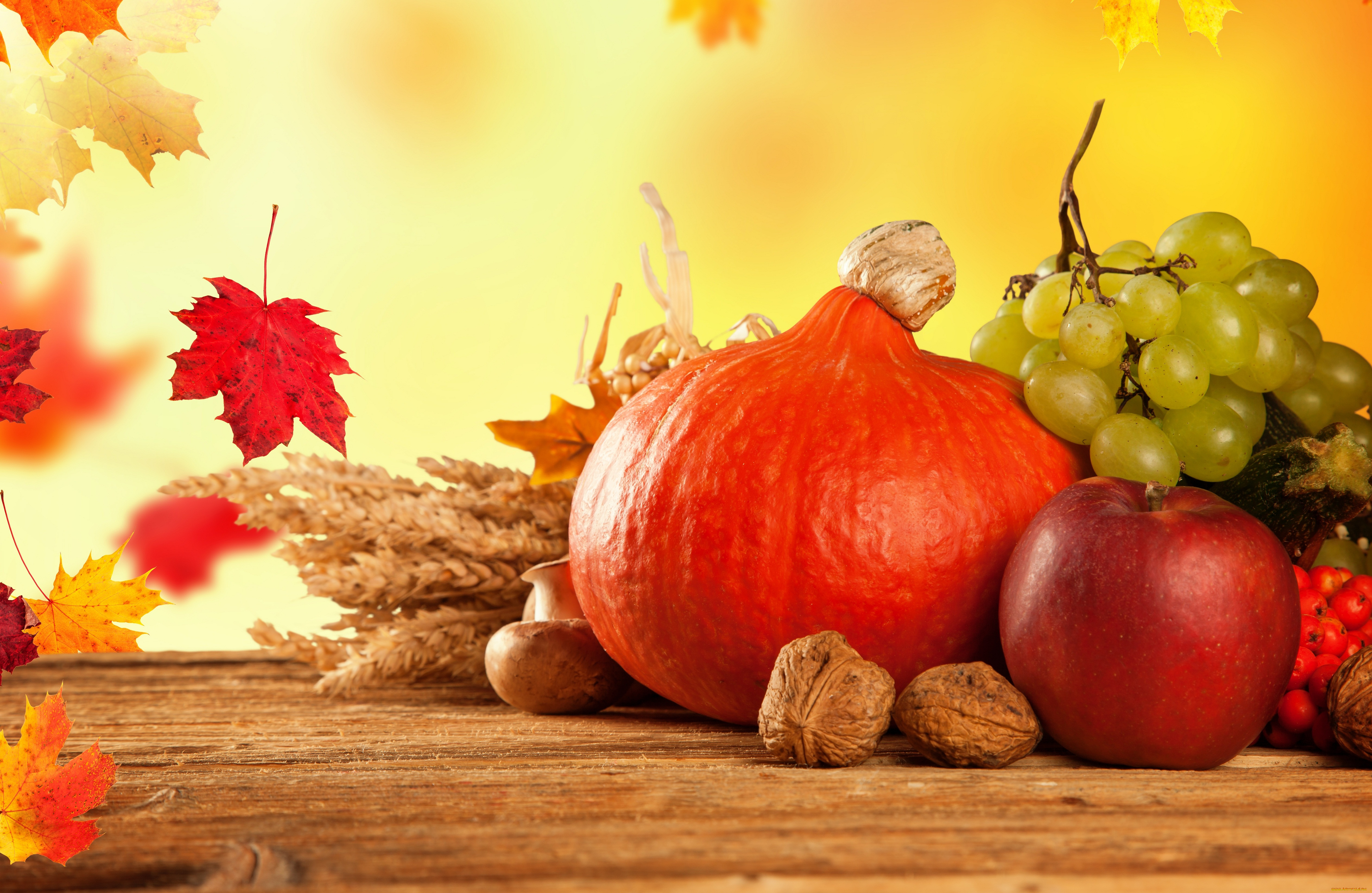 еда, фрукты, и, овощи, вместе, осень, урожай, виноград, грибы, яблоки, тыква, фрукты, овощи