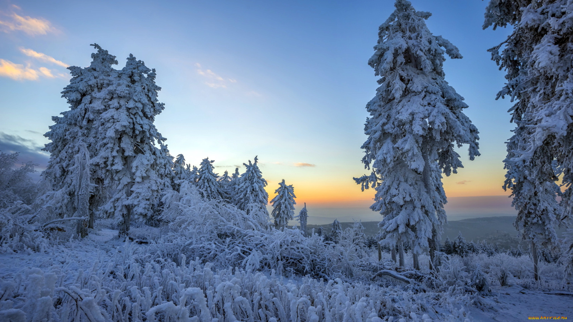 природа, зима, лес, утро, снег