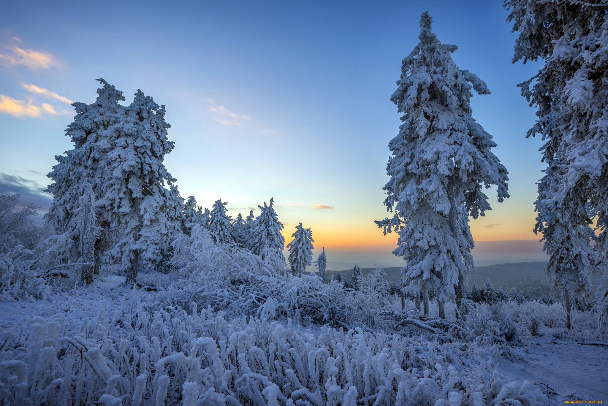 природа, зима, лес, утро, снег