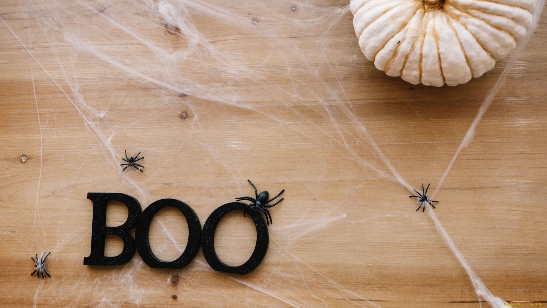 праздничные, хэллоуин, паутина, праздник, паук, тыква