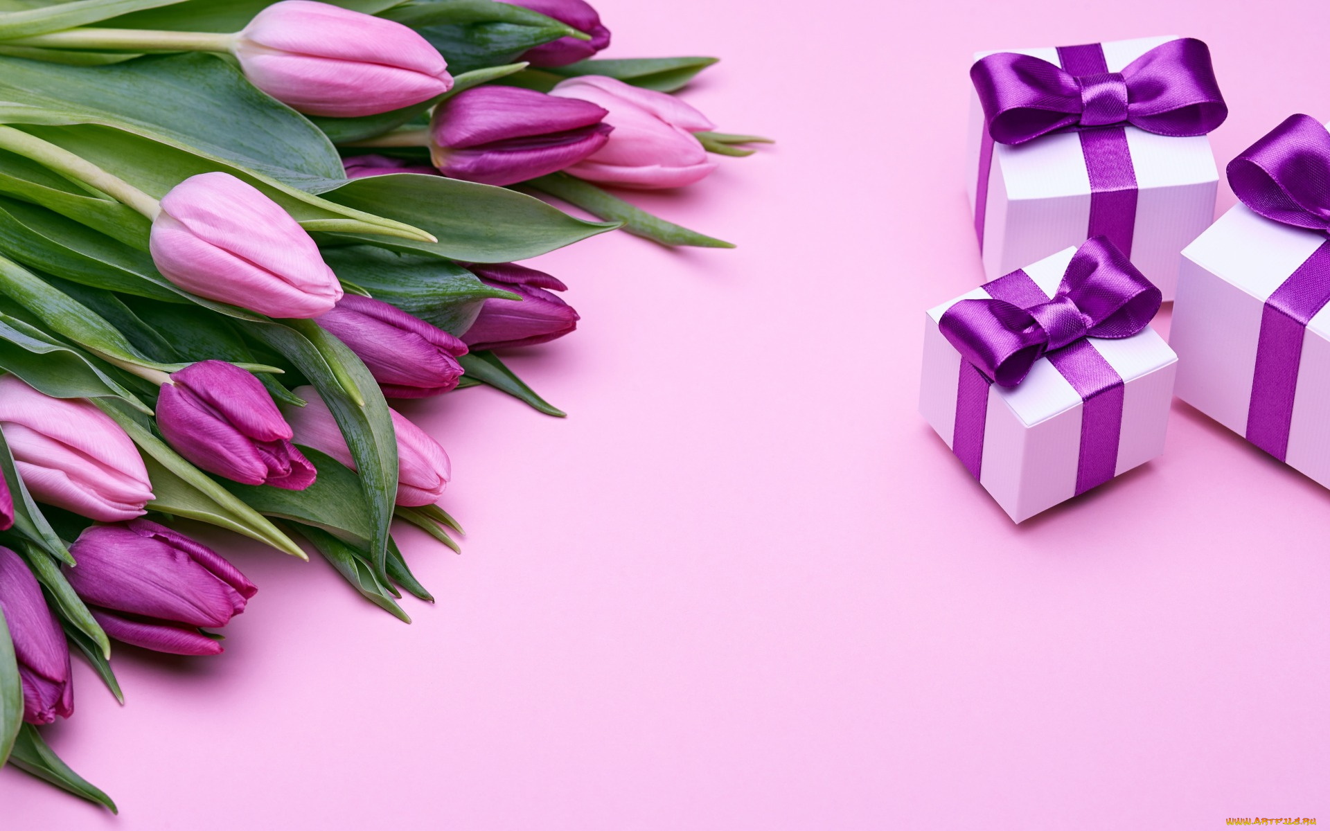 праздничные, подарки, и, коробочки, flowers, подарки, тюльпаны, romantic, gift, purple, букет, love, бант, tulips, pink, fresh, розовые