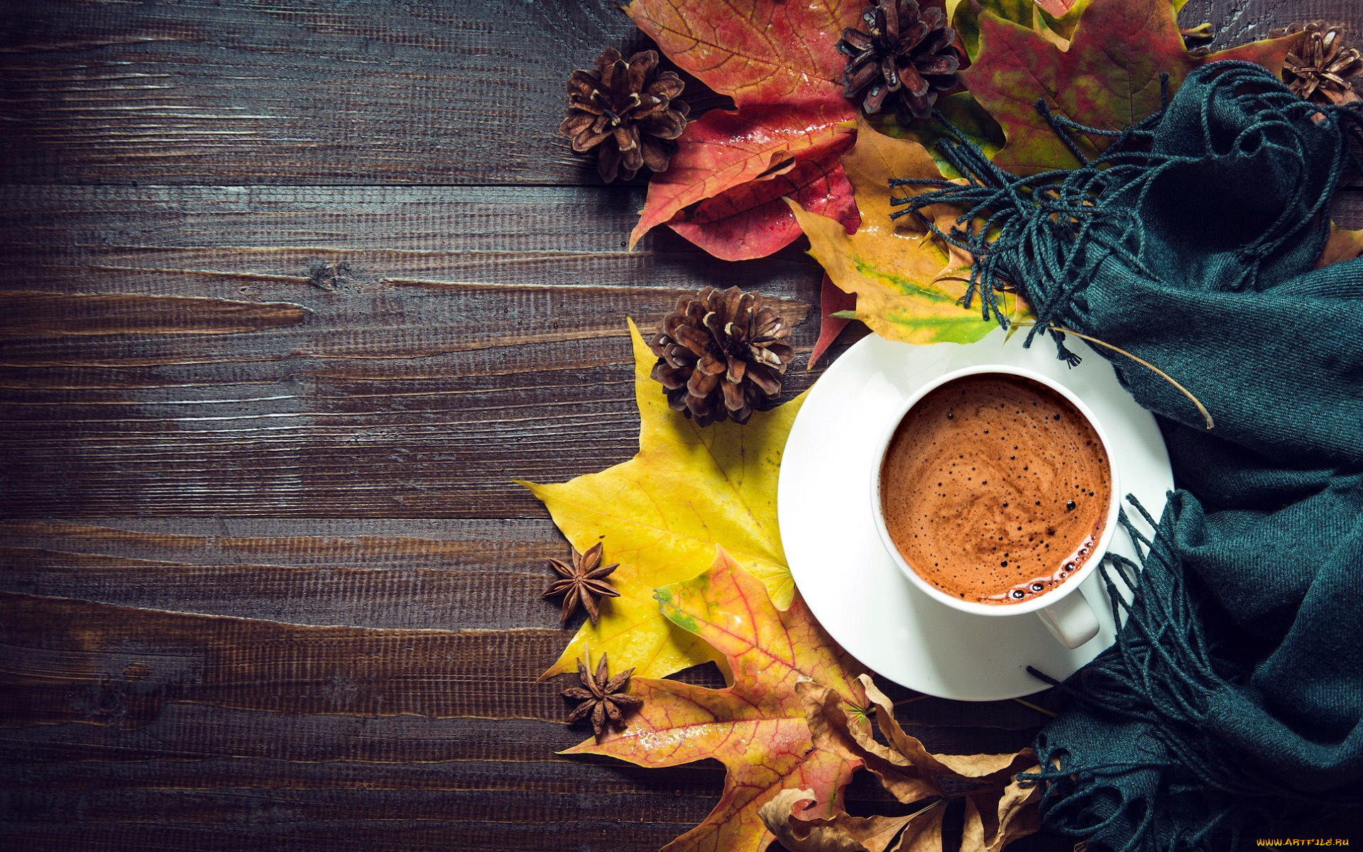 еда, кофе, , кофейные, зёрна, шишки, листья, осень