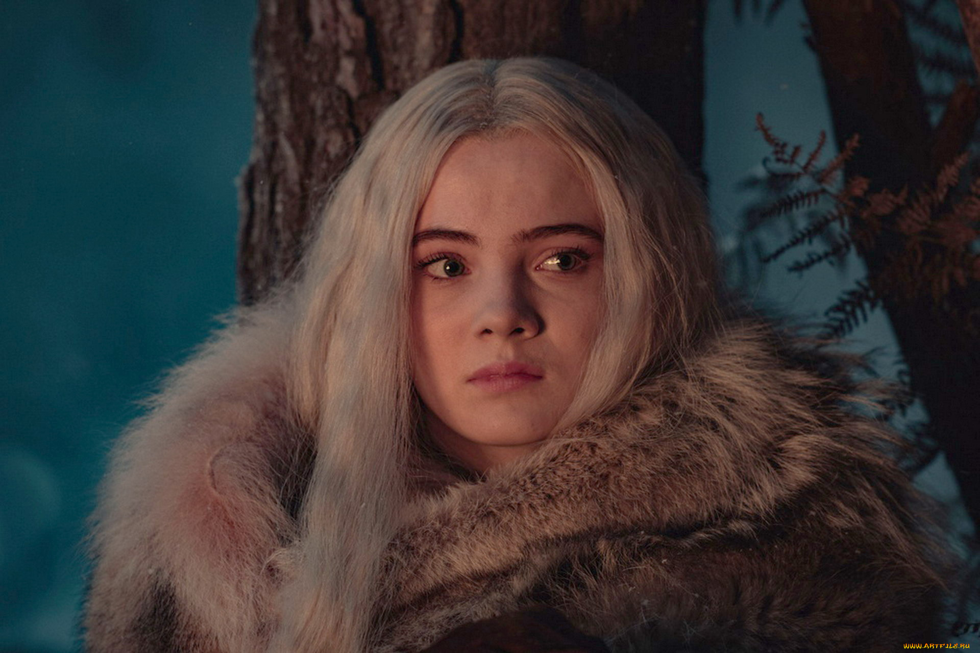 кино, фильмы, the, witcher, , 2019, freya, allan