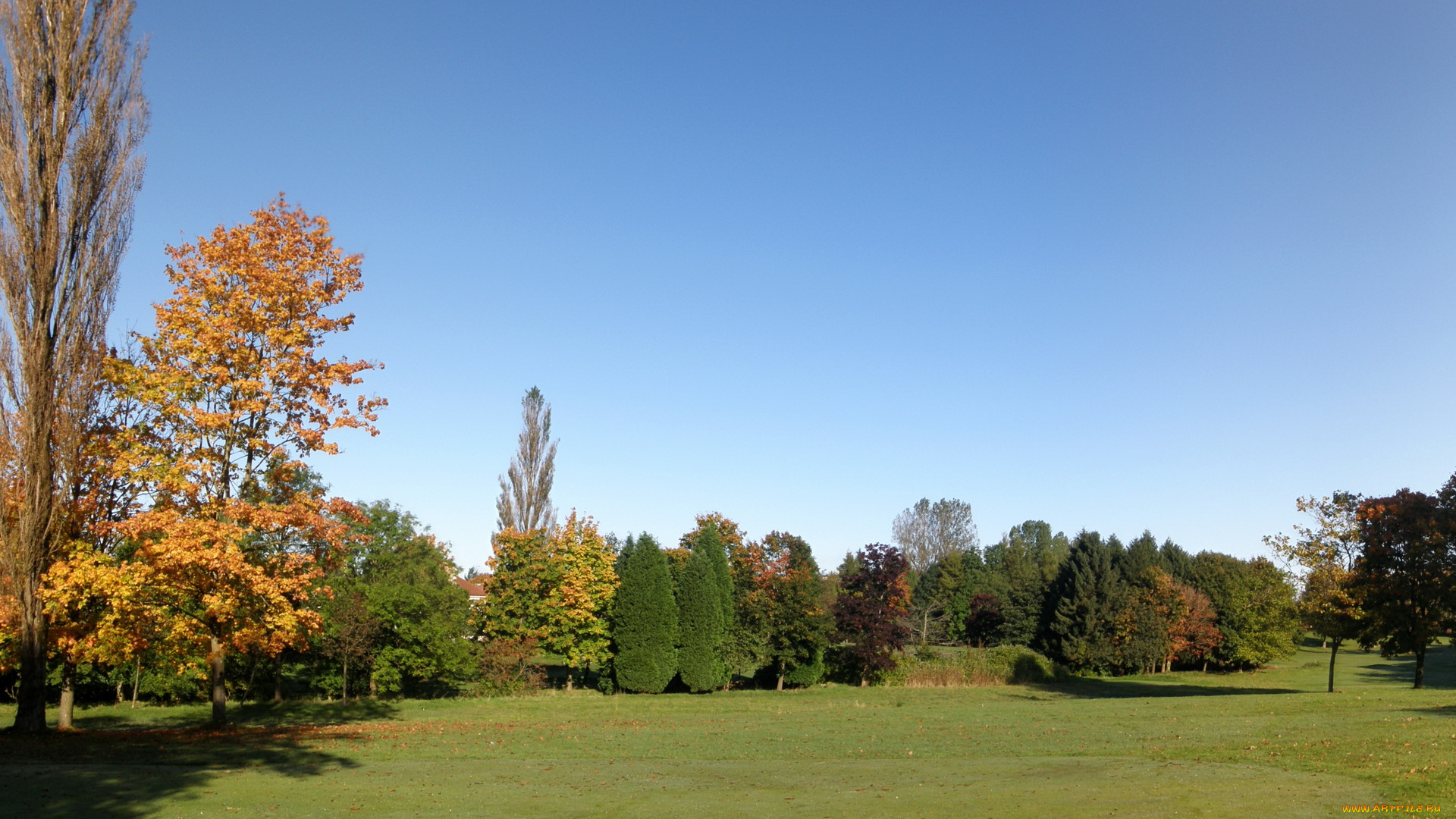 knightswood, park, шотландия, глазго, природа, парк