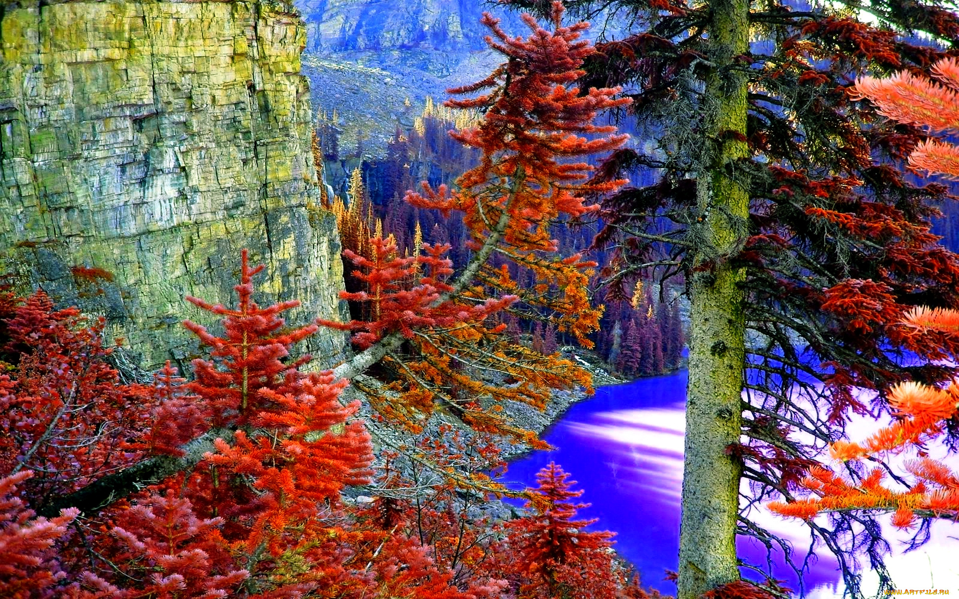 природа, горы, ели, краски, озеро, осень