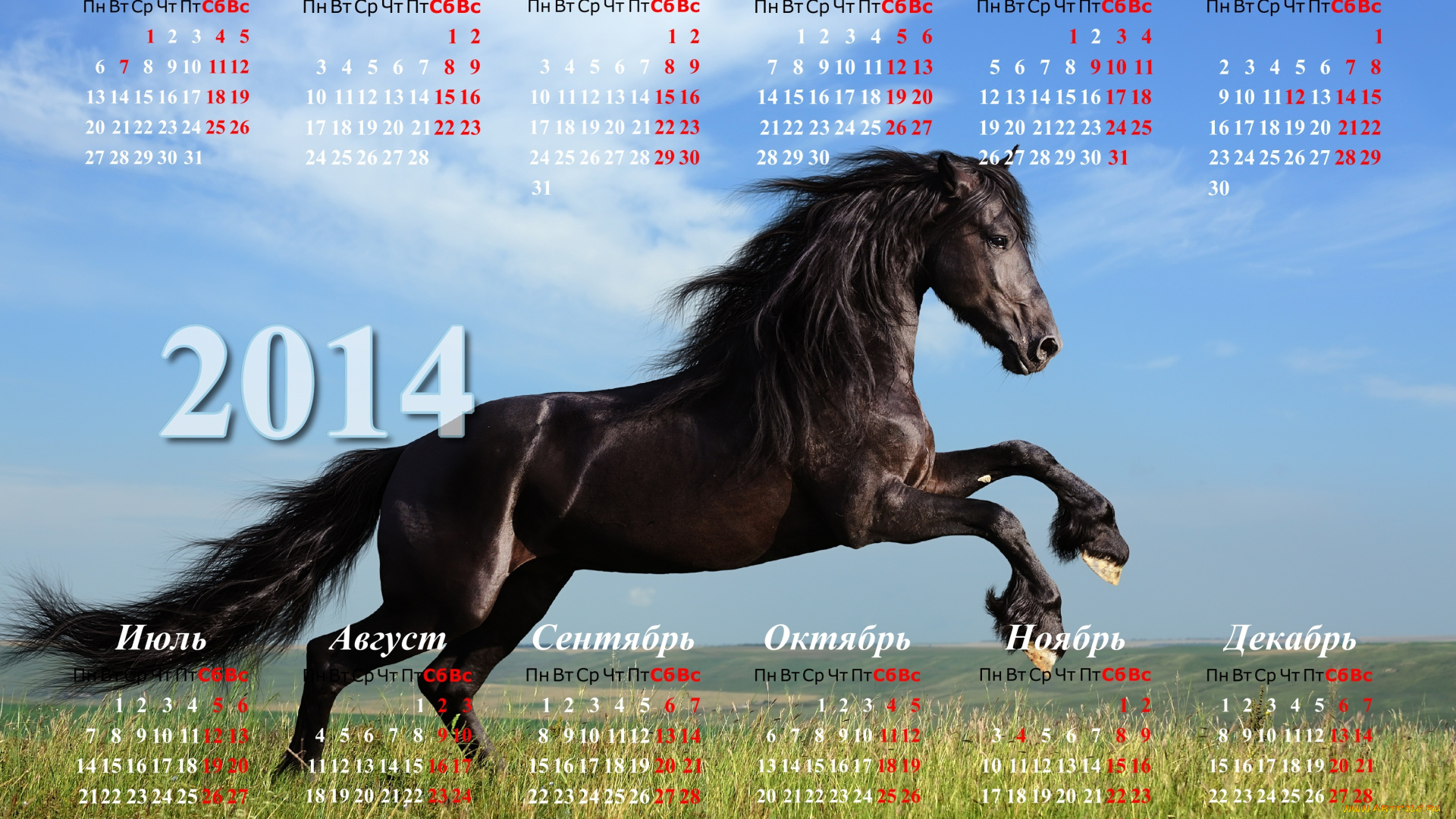 календари, животные, кони
